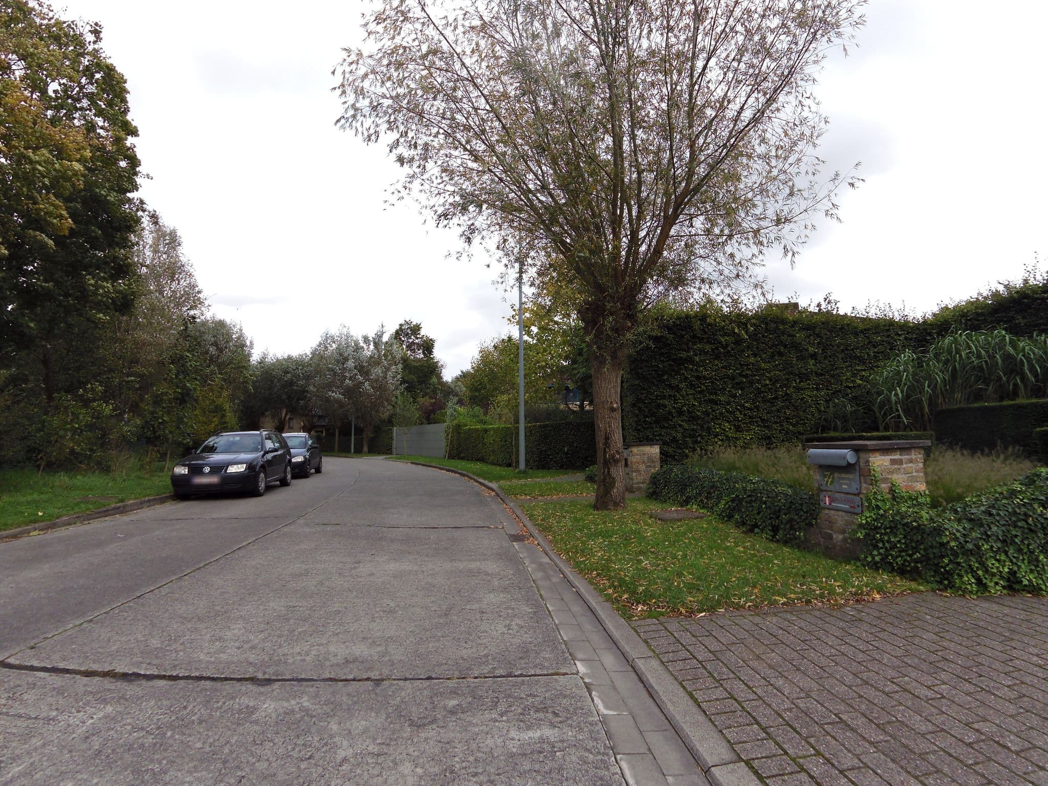 Street view near B&B 7t, Assebroek — © zors1843 (CC BY-SA · Mapillary)