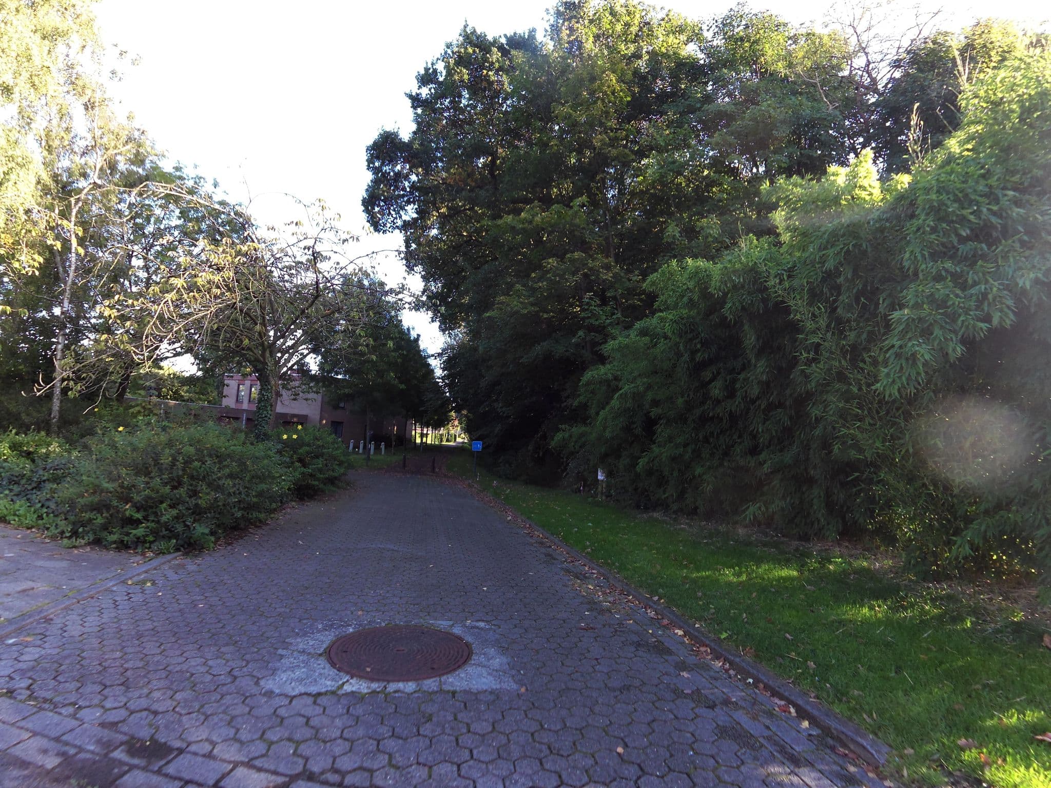 Street view near Antares Bed & Breakfast, Sint-Andries — © zors1843 (CC BY-SA · Mapillary)