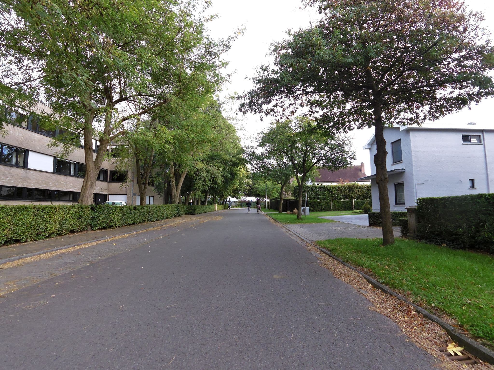 Street view near 't Wit Huys, Assebroek — © zors1843 (CC BY-SA · Mapillary)
