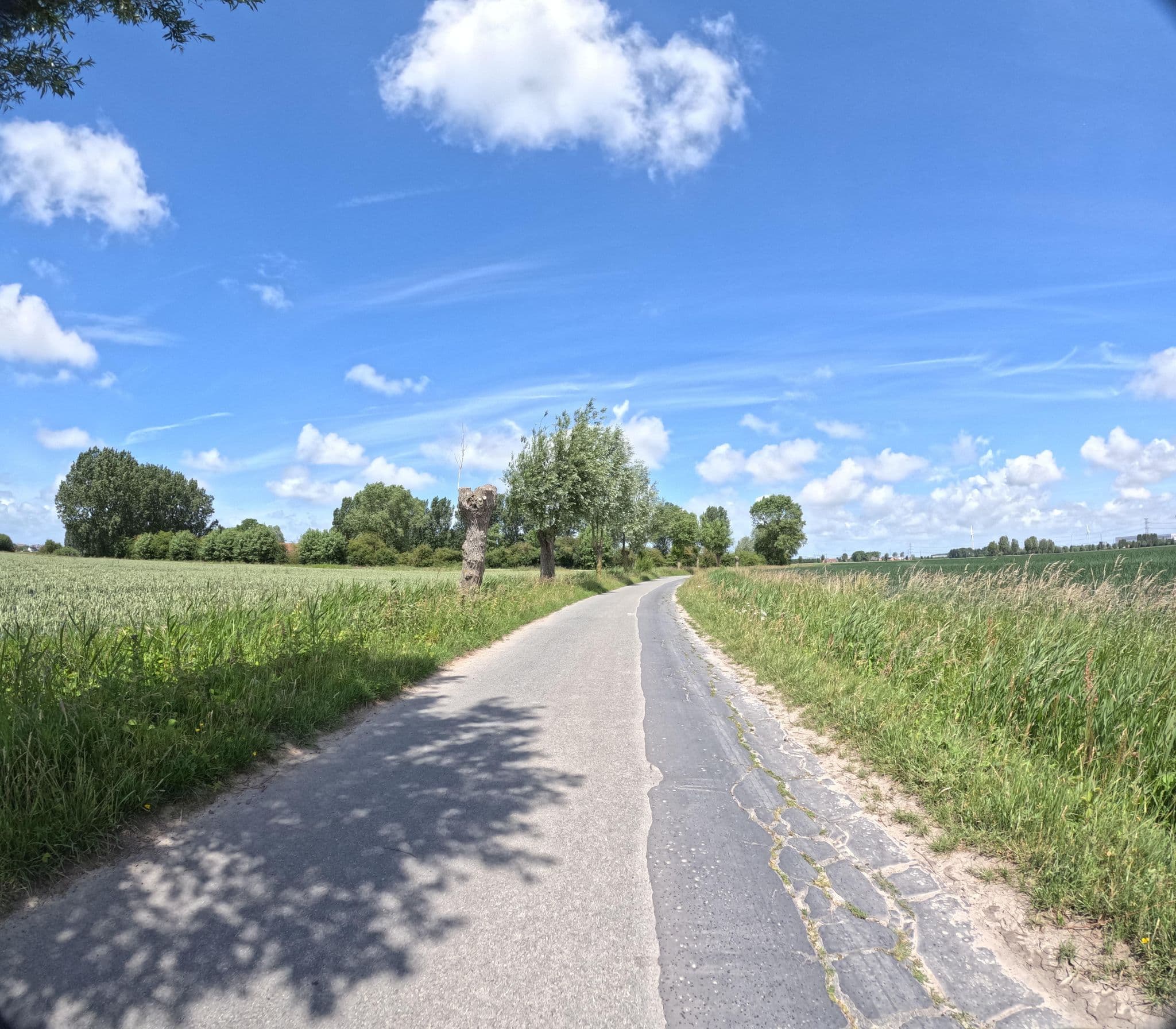 Street view near Polderlicht, Uitkerke — © filipc (CC BY-SA · Mapillary)