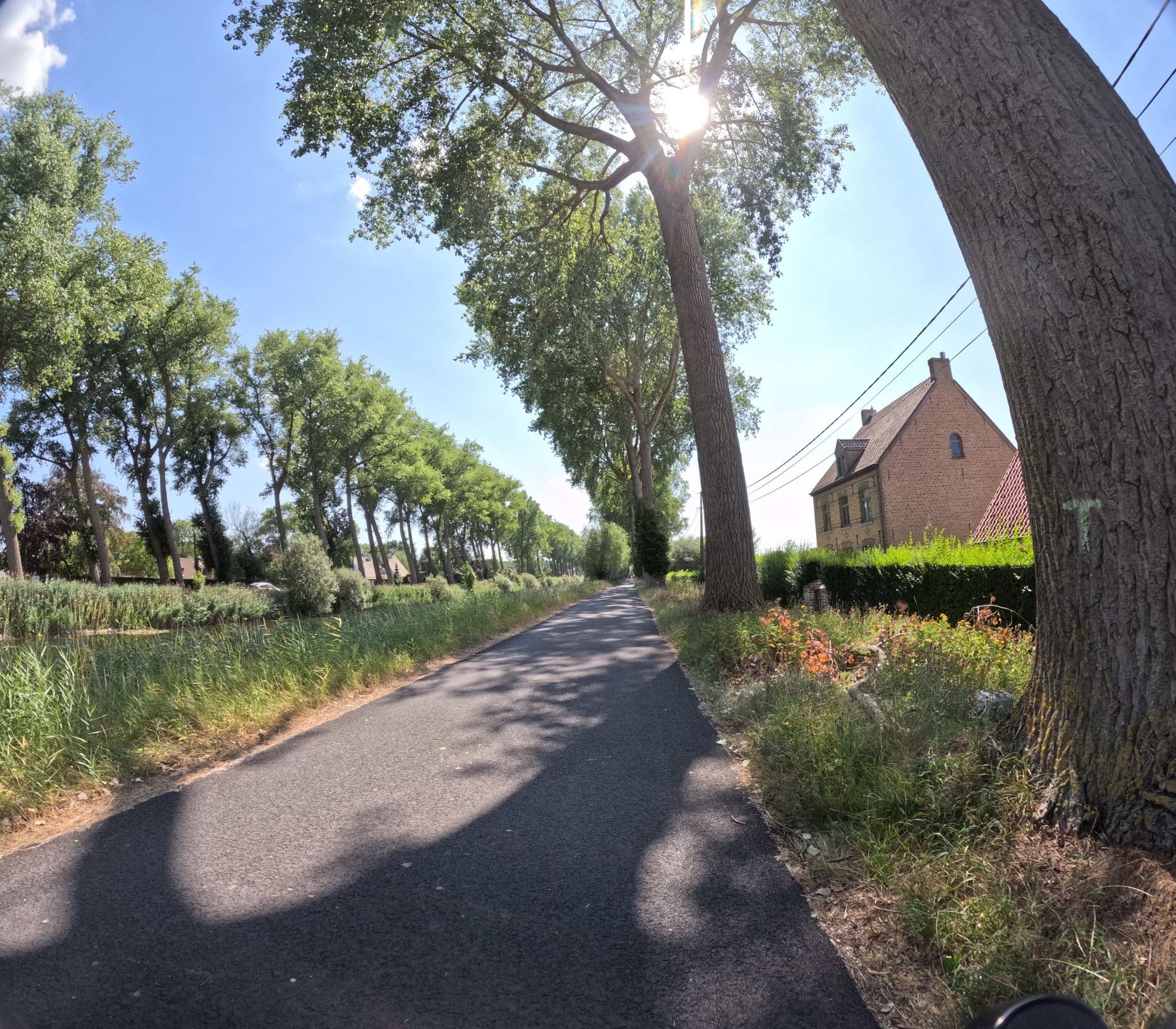 Street view near Vakantiewoningen Herenboer in Damme, Damme — © filipc (CC BY-SA · Mapillary)