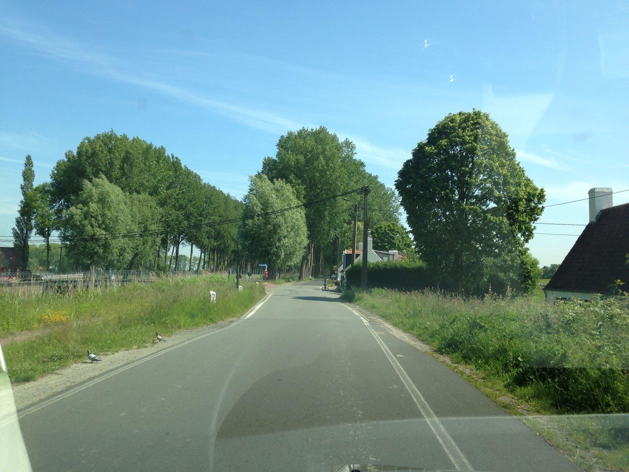 Street view near Advoli, Damme — © zors1843 (CC BY-SA · Mapillary)