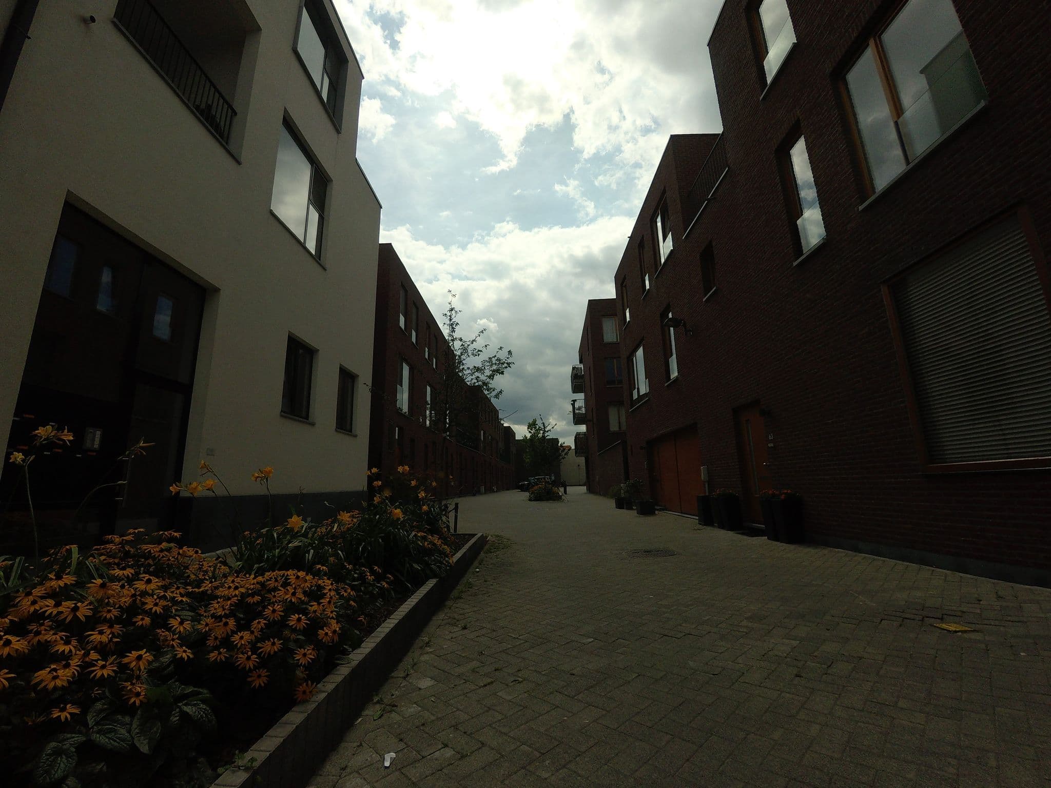 Street view near Corner Art House, Antwerp — © filipc (CC BY-SA · Mapillary)