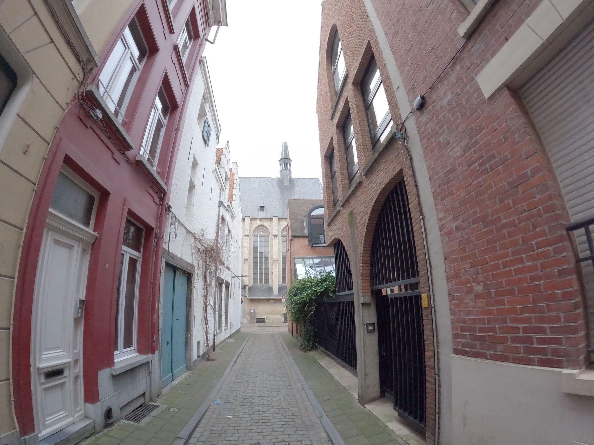Street view near De Witte Lelie, Antwerp — © koninklijke (CC BY-SA · Mapillary)