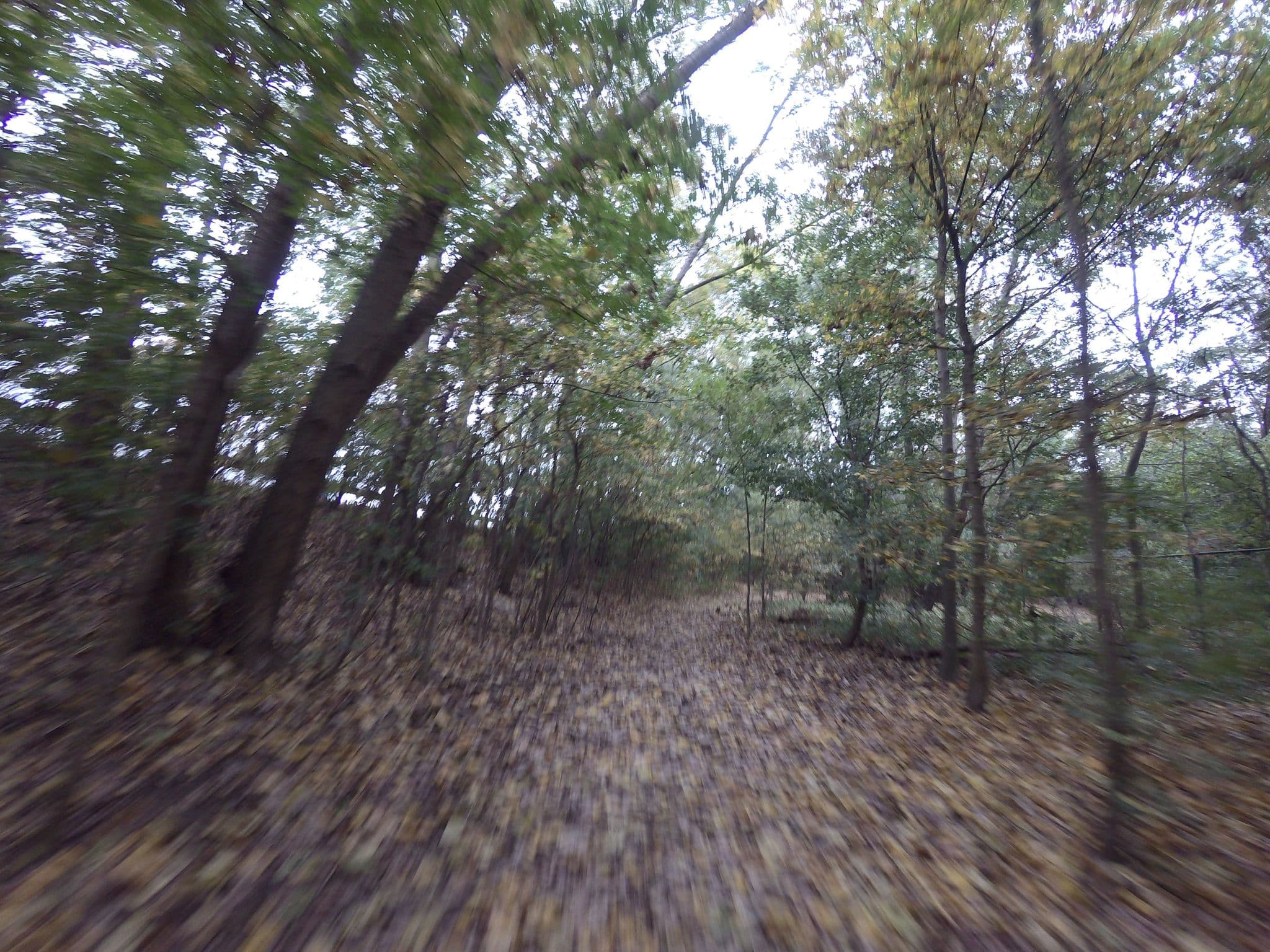 Street view near Hotel Mayrit, Merksem — © filipc (CC BY-SA · Mapillary)