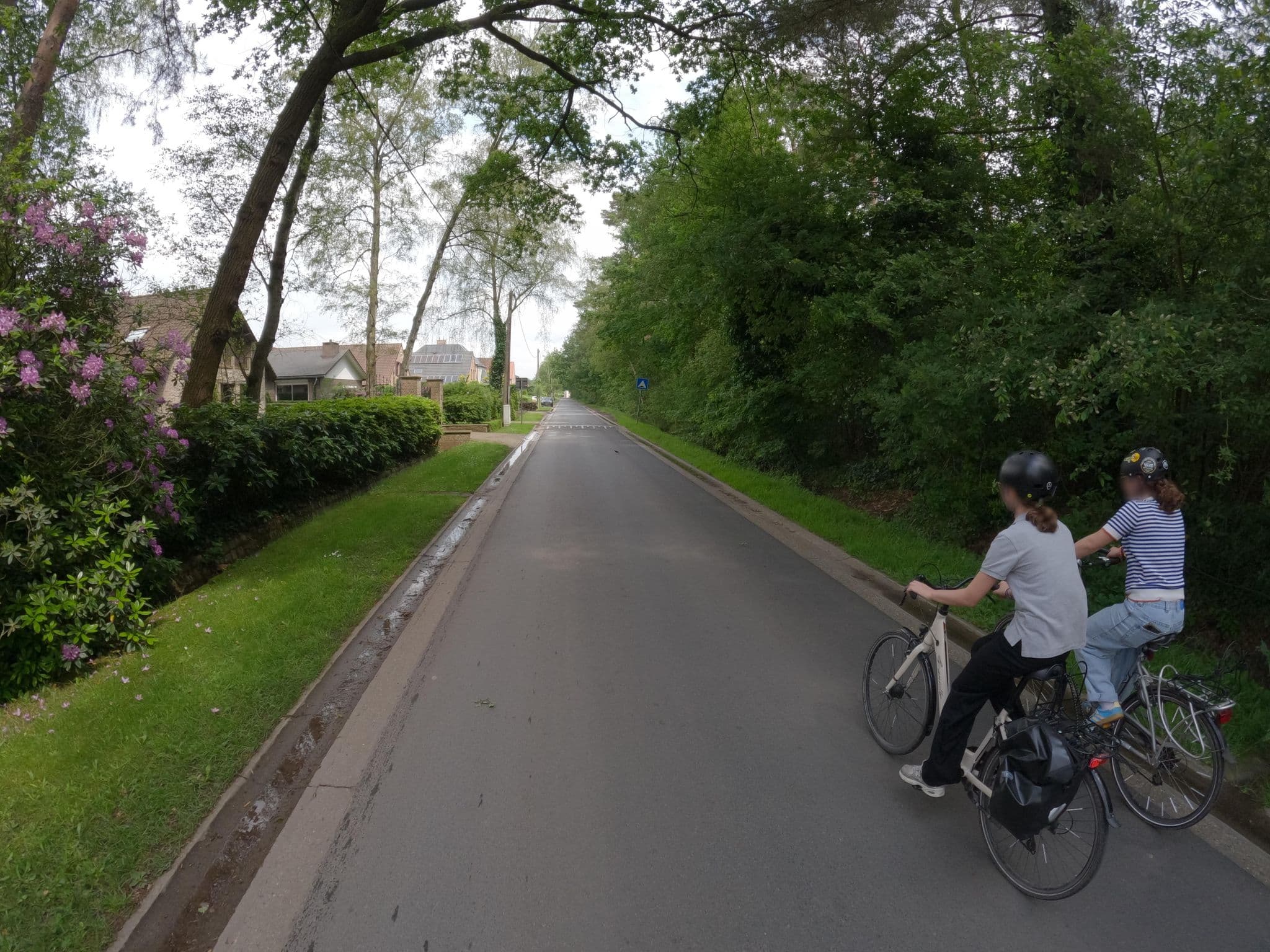 Street view near Lisse's Paradise, Schilde — © koninklijke (CC BY-SA · Mapillary)