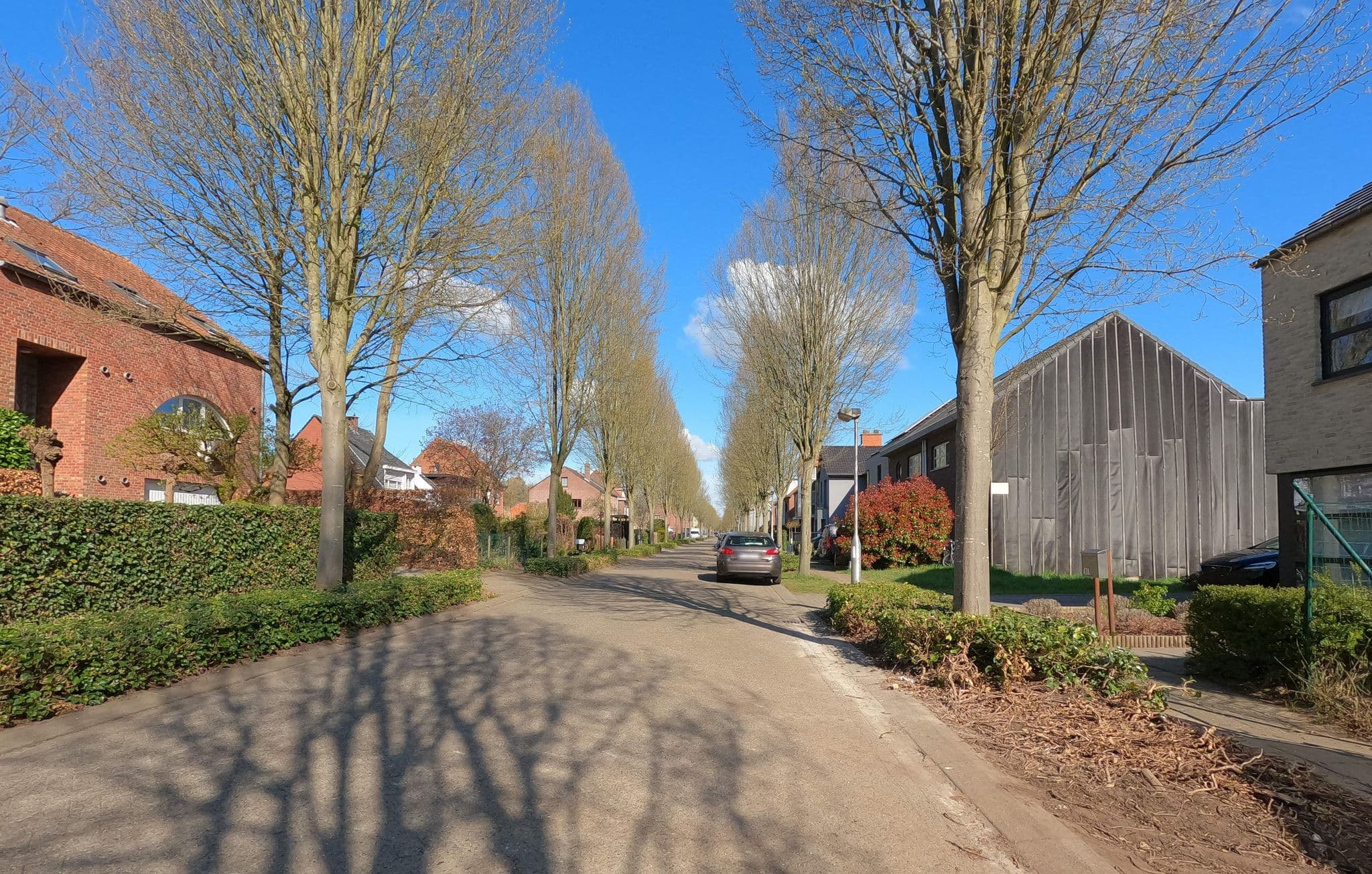 Street view near dodo & co, Brasschaat — © koninklijke (CC BY-SA · Mapillary)