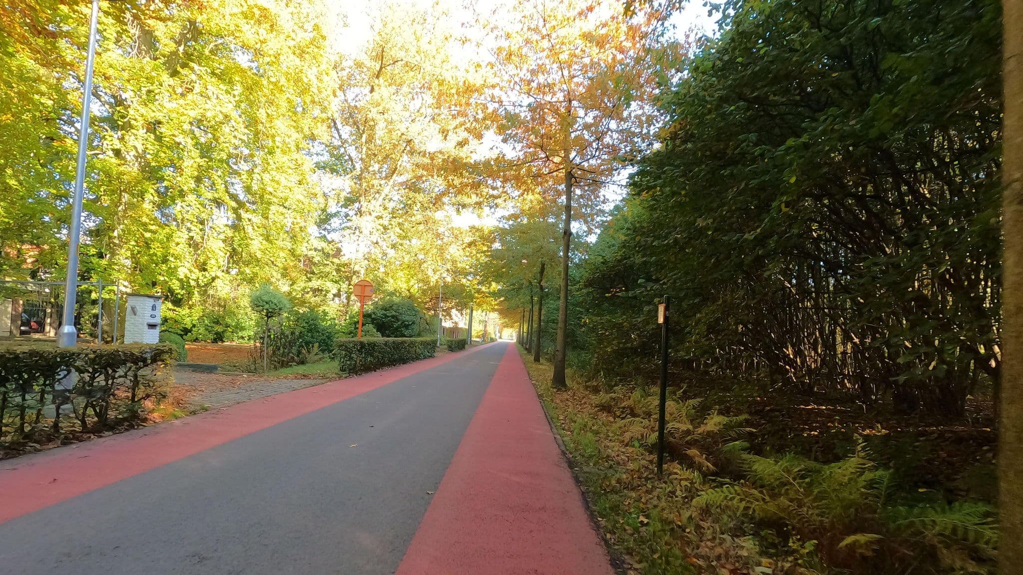 Street view near B&B De Beuk, 's-Gravenwezel — © koninklijke (CC BY-SA · Mapillary)