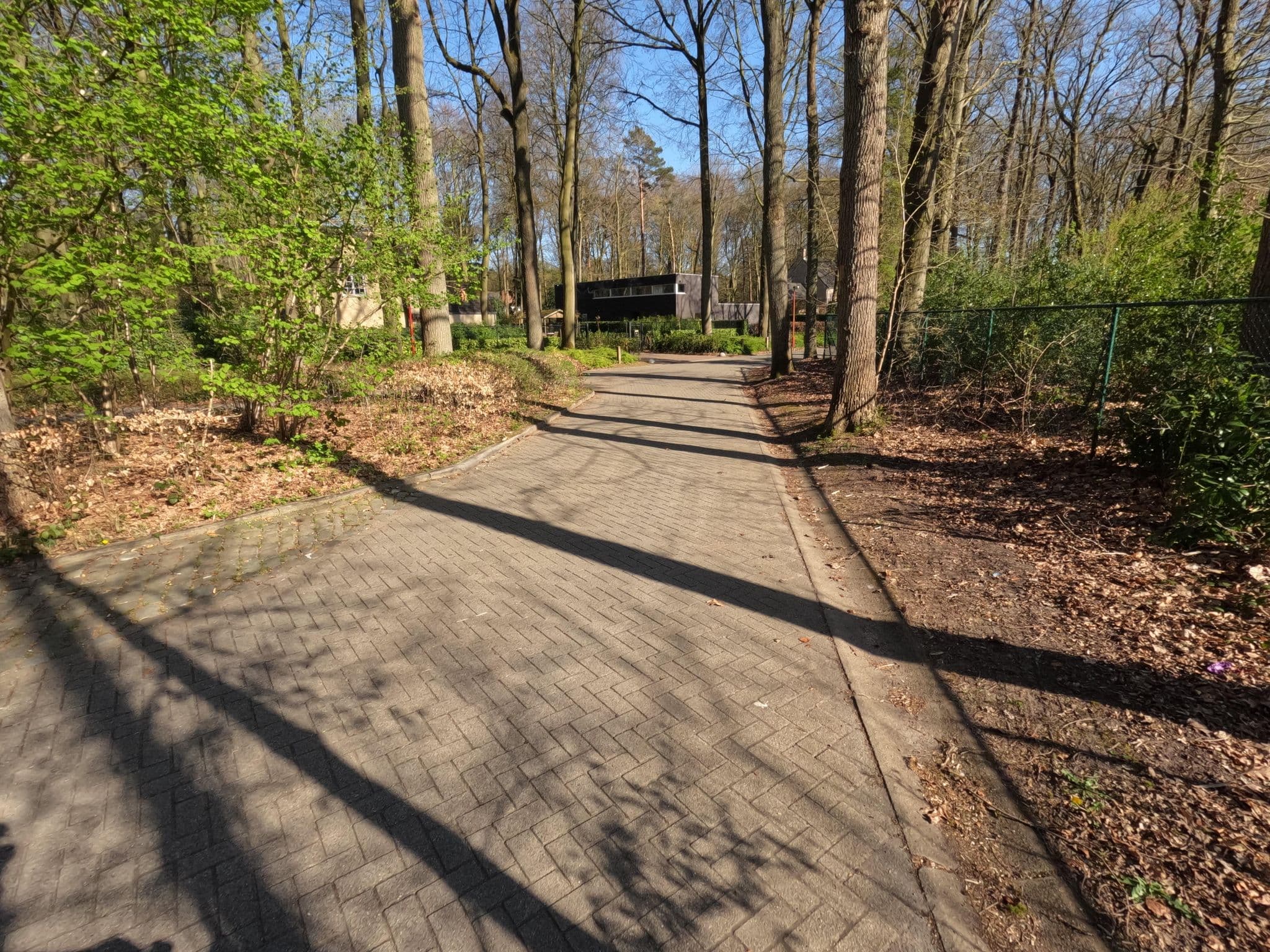 Street view near Gommers - De Ren, Kalmthout — © koninklijke (CC BY-SA · Mapillary)