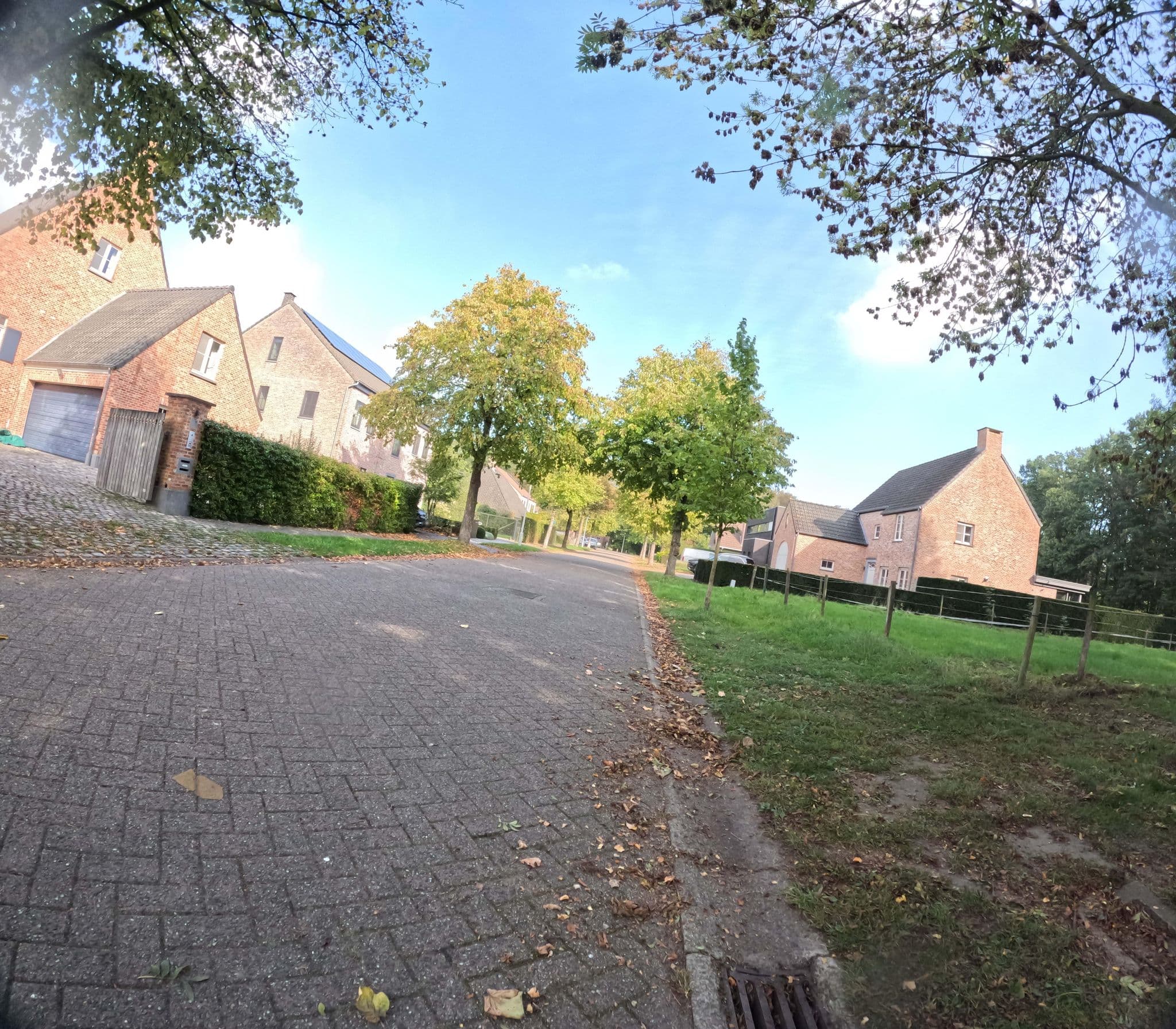 Street view near De Greefshoeve, Kalmthout — © filipc (CC BY-SA · Mapillary)