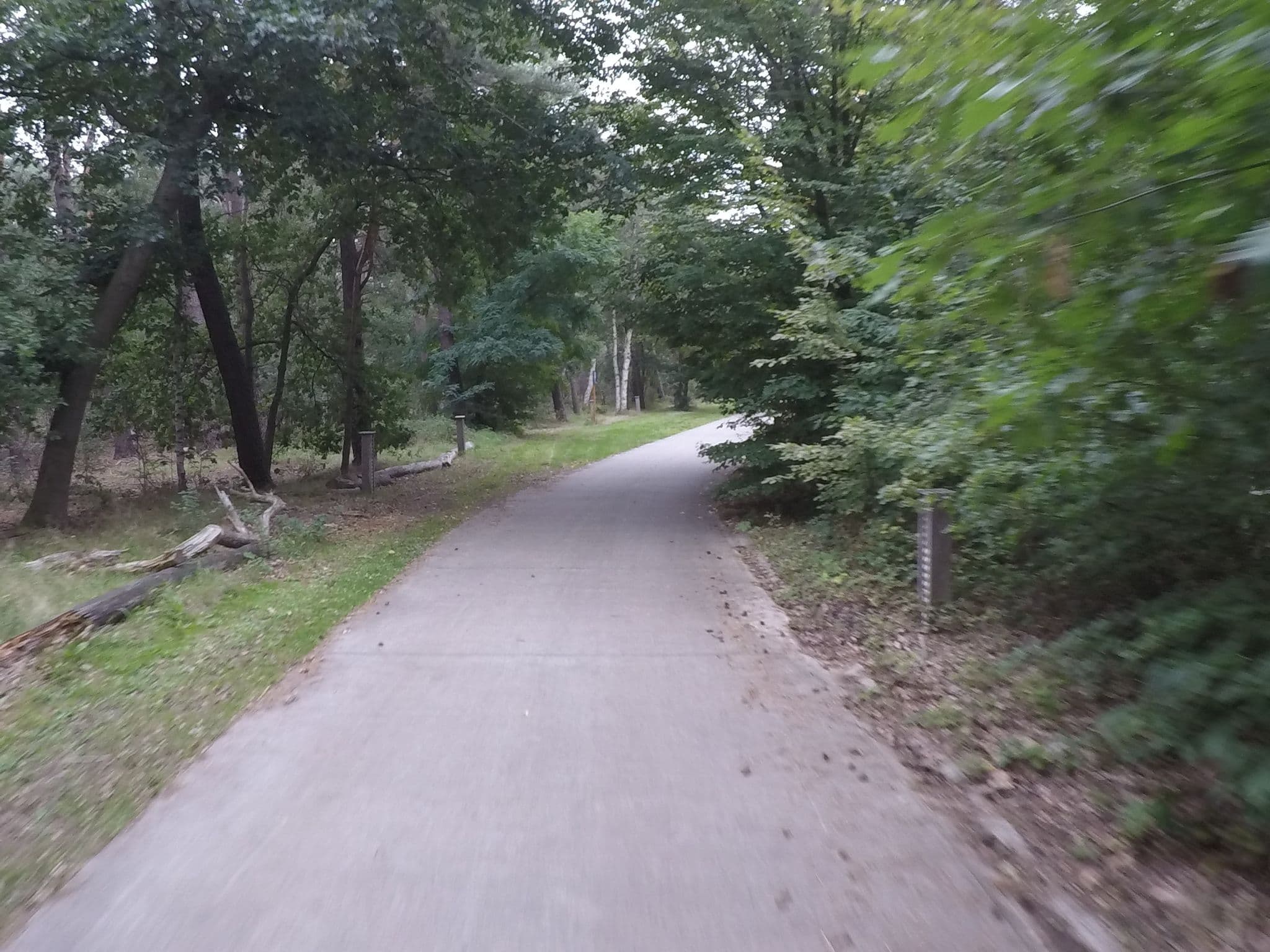Street view near Gebouw 55 Konijn, Tielen — © koninklijke (CC BY-SA · Mapillary)