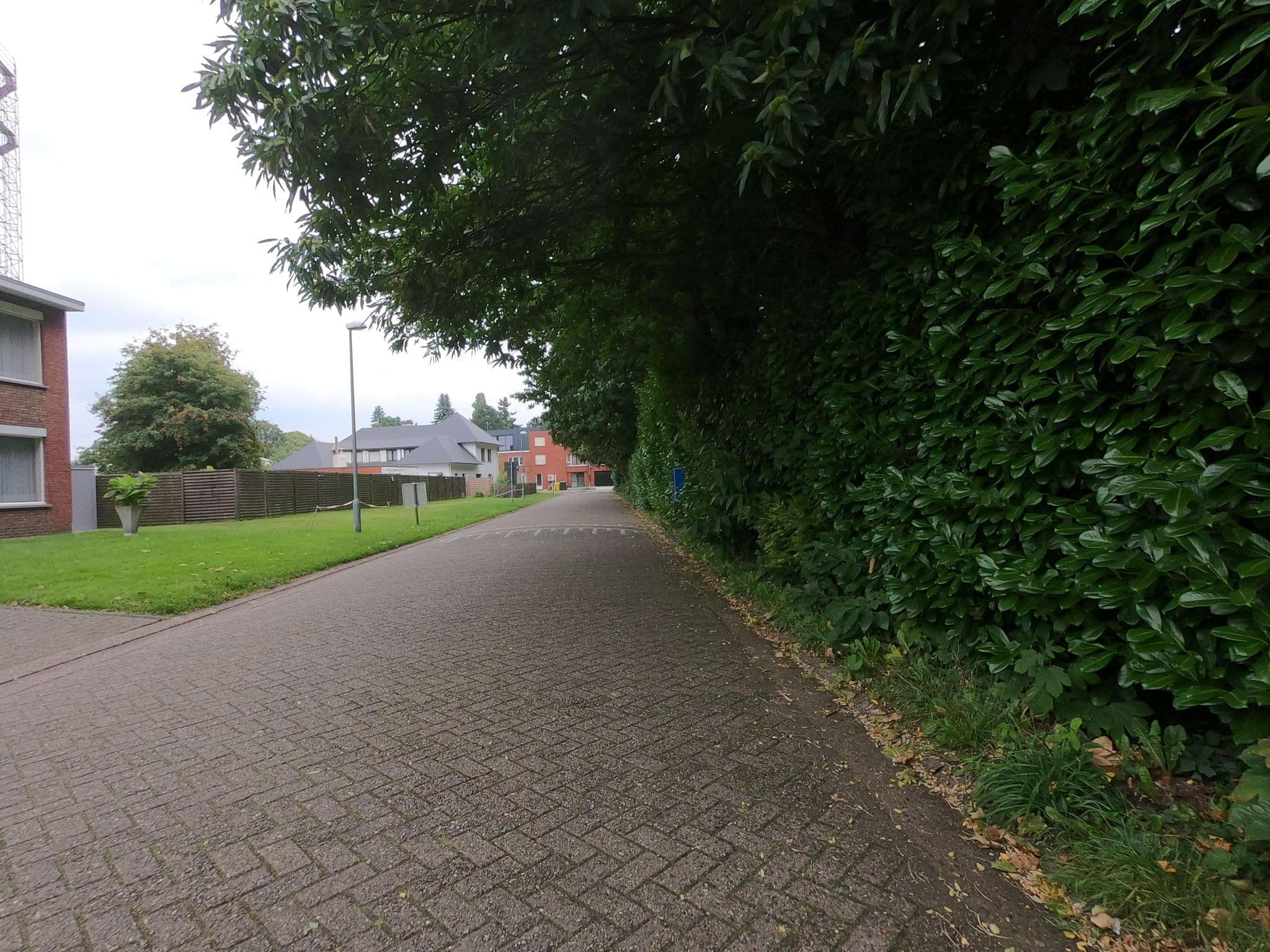 Street view near Meynen/Miriam, Mol — © thierry1030 (CC BY-SA · Mapillary)
