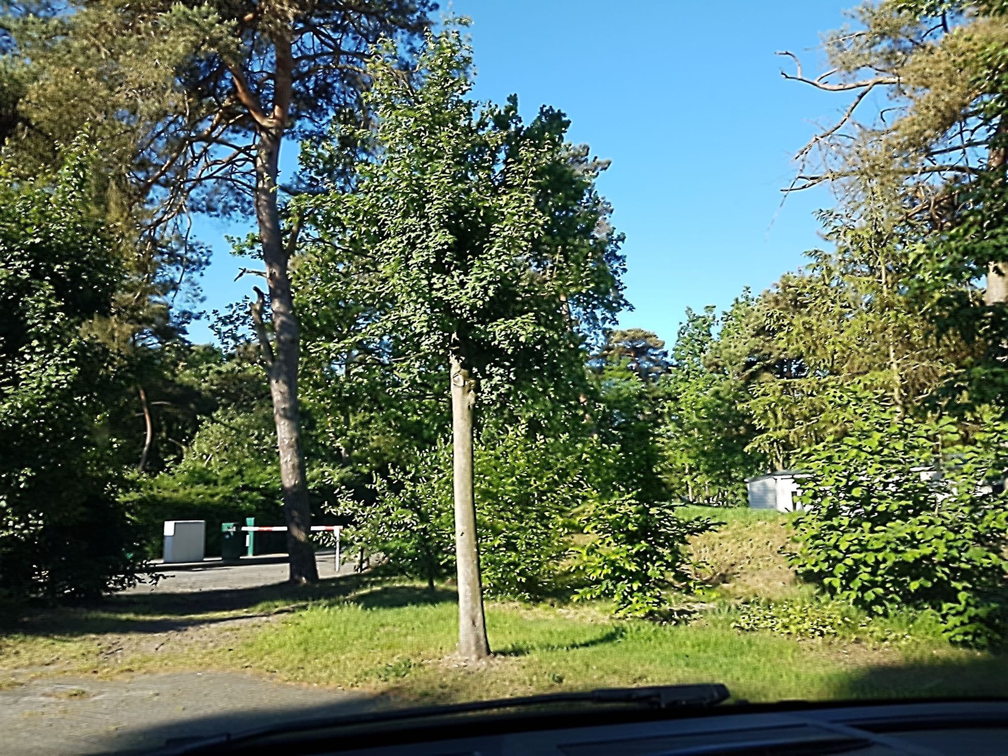 Street view near Huisje E05, Mol — © filipc (CC BY-SA · Mapillary)