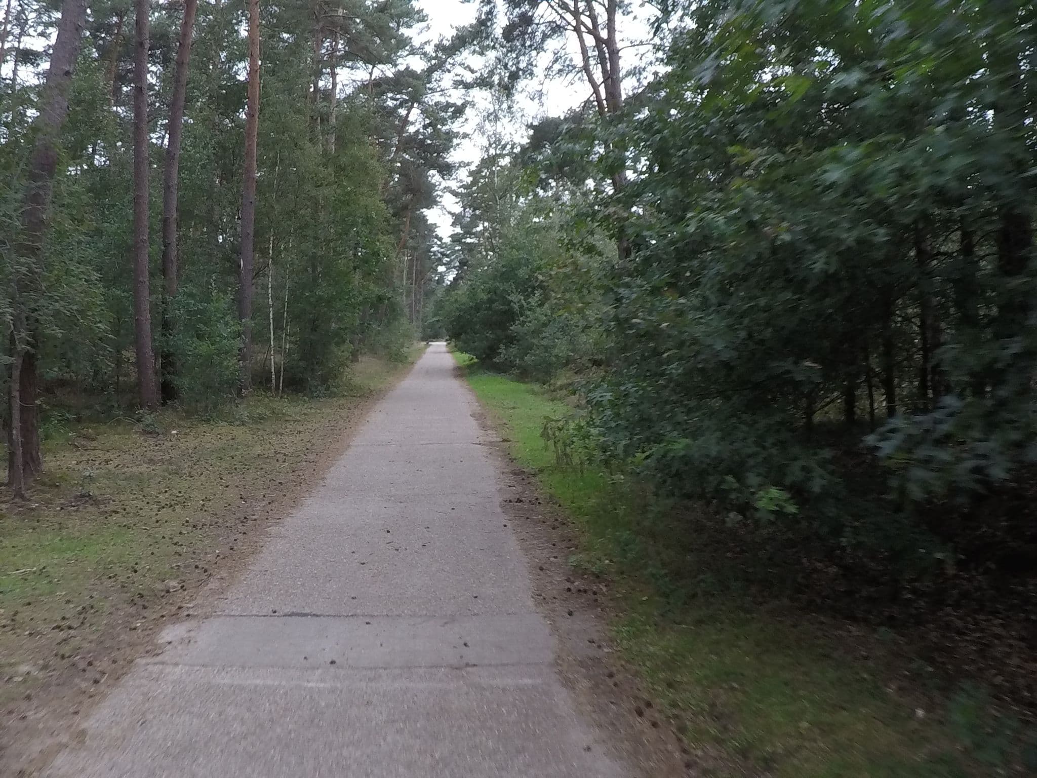 Street view near Loods 7, Kasterlee — © koninklijke (CC BY-SA · Mapillary)