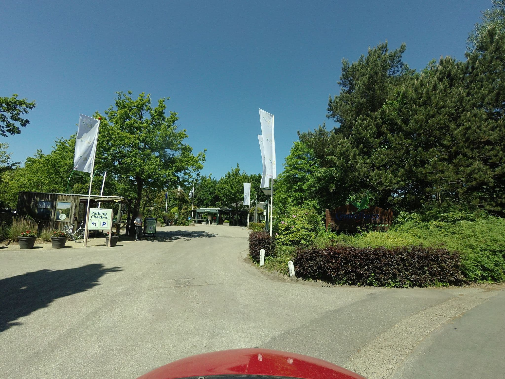 Street view near Cottage 274, Lommel — © filipc (CC BY-SA · Mapillary)