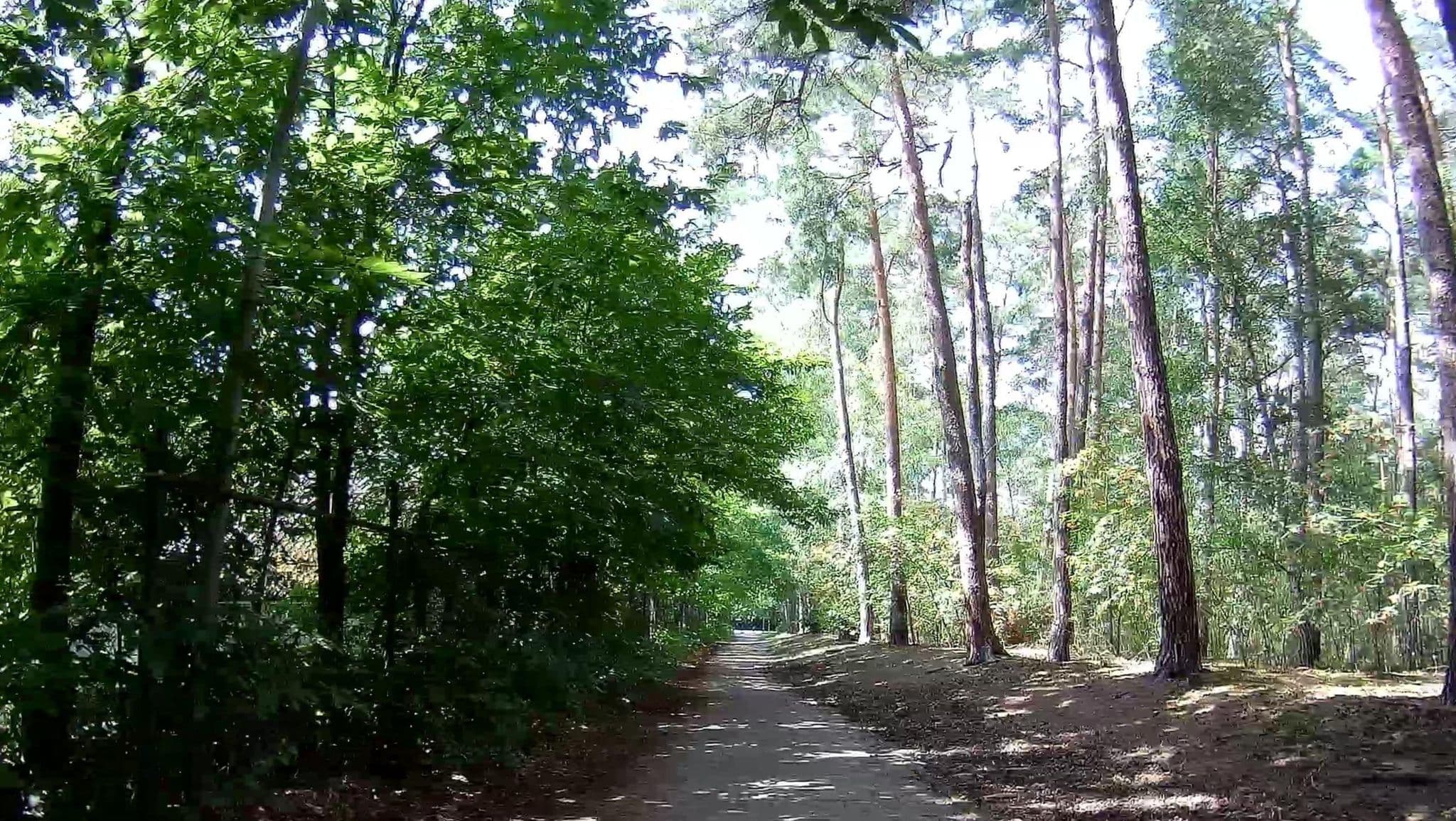 Street view near Cottage 261, Dessel — © micmin1972 (CC BY-SA · Mapillary)