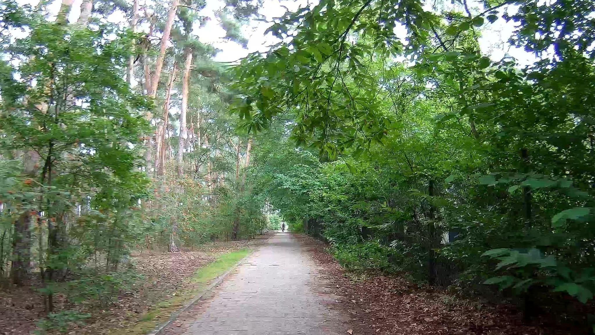 Street view near cottage 254, Dessel — © micmin1972 (CC BY-SA · Mapillary)