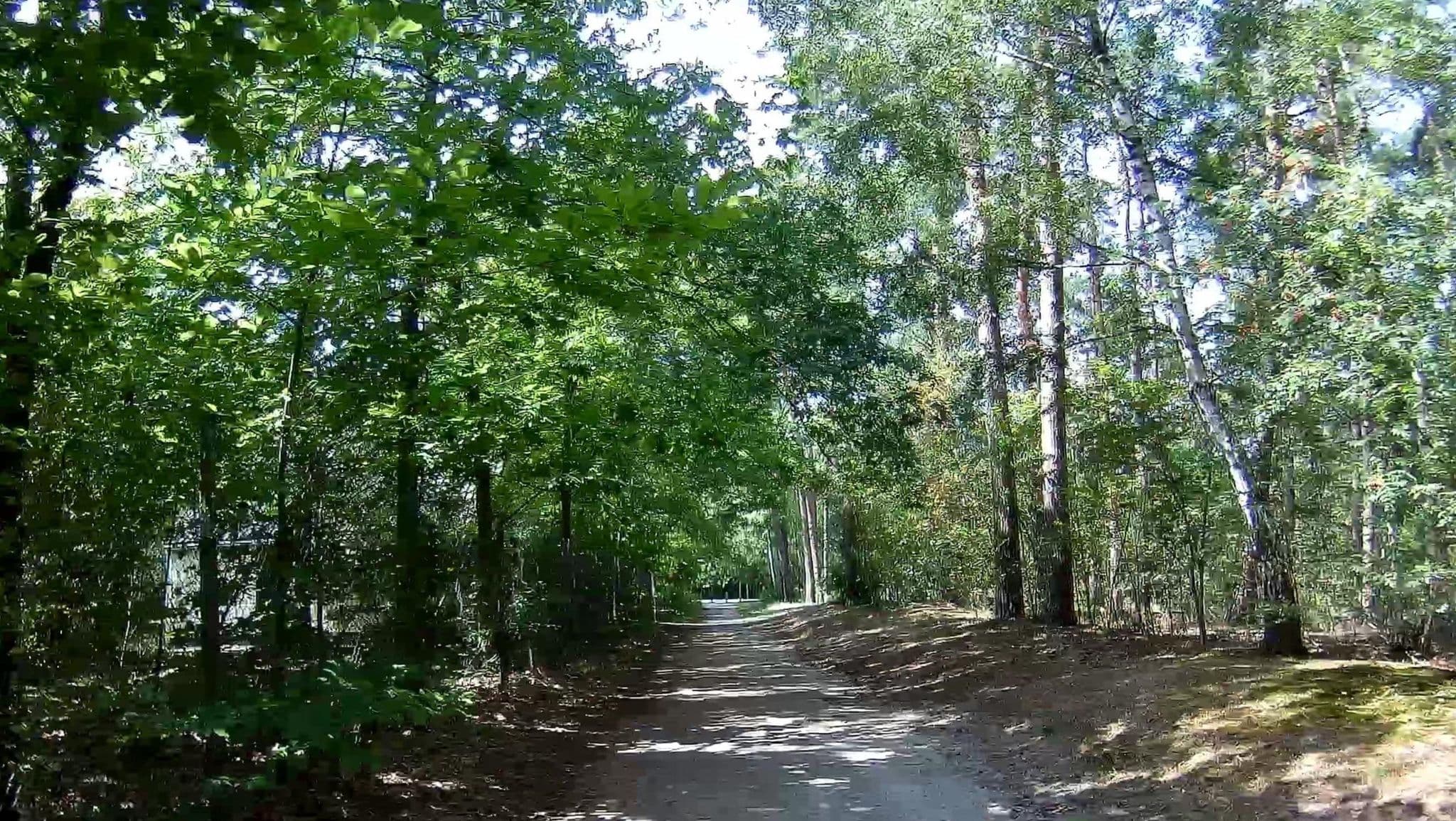 Street view near Cottage 266, Dessel — © micmin1972 (CC BY-SA · Mapillary)