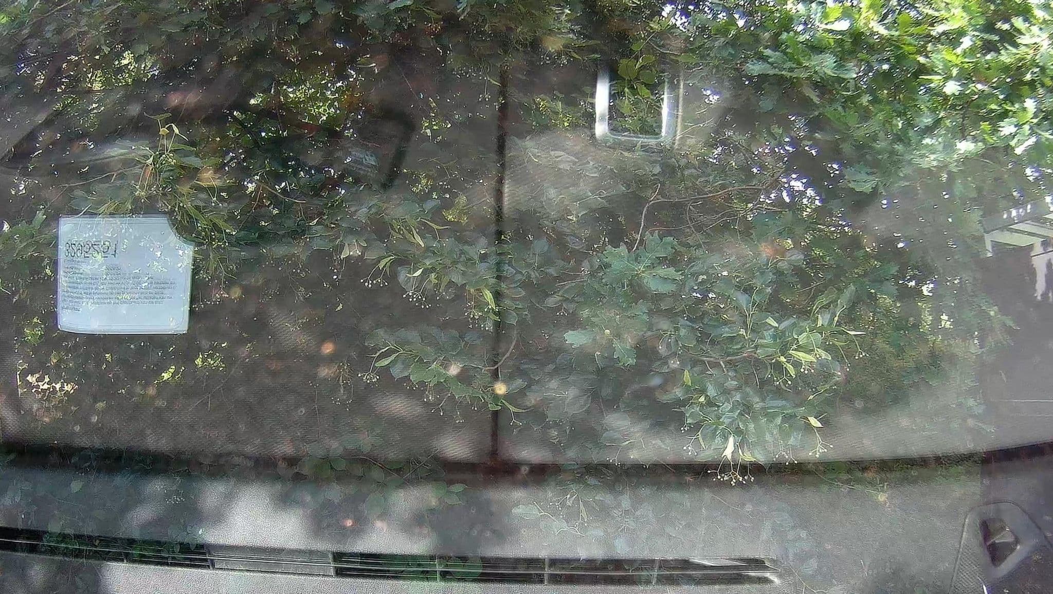 Street view near Cottage 861, Balen — © micmin1972 (CC BY-SA · Mapillary)