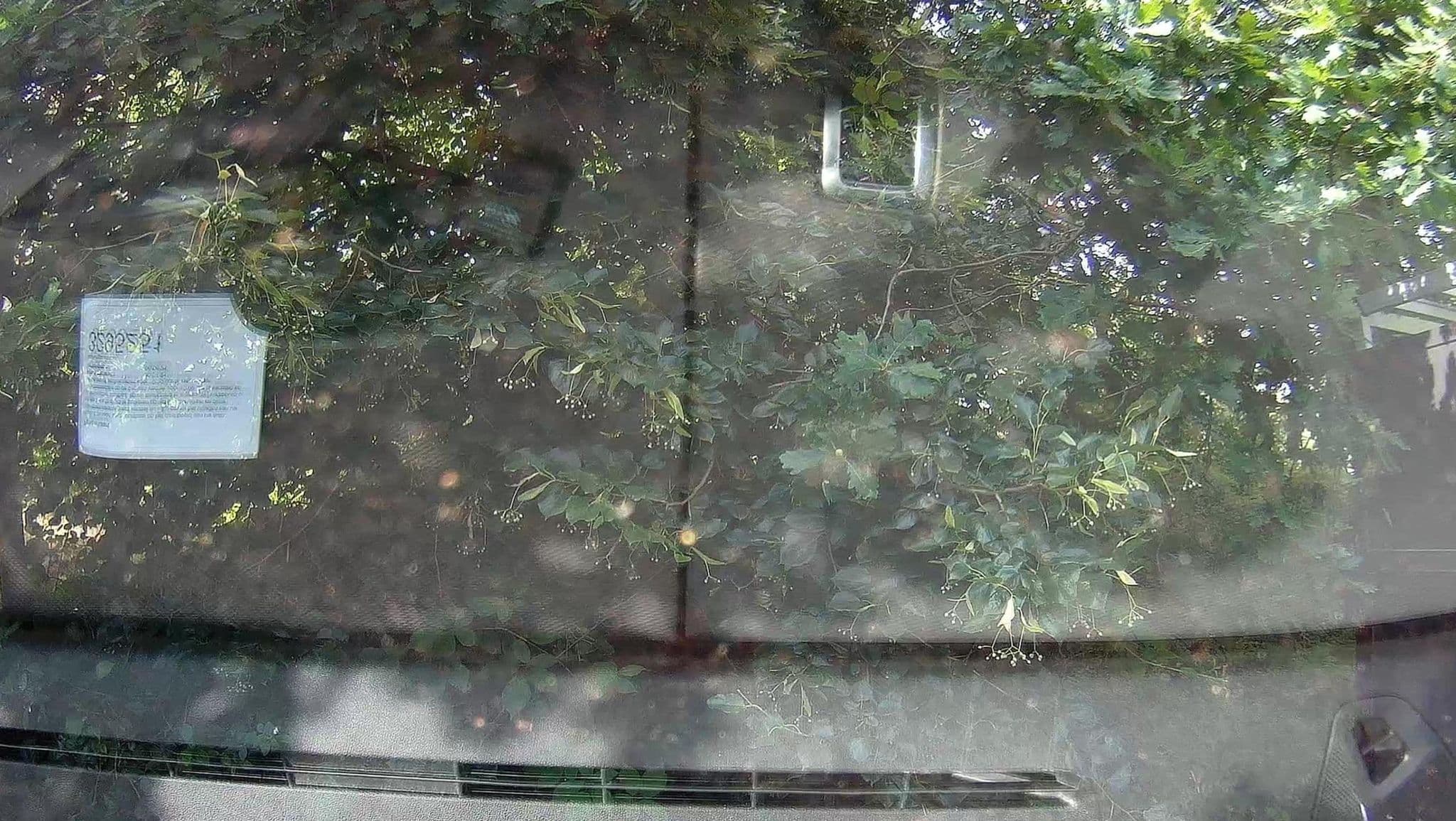 Street view near Cottage 824, Balen — © micmin1972 (CC BY-SA · Mapillary)
