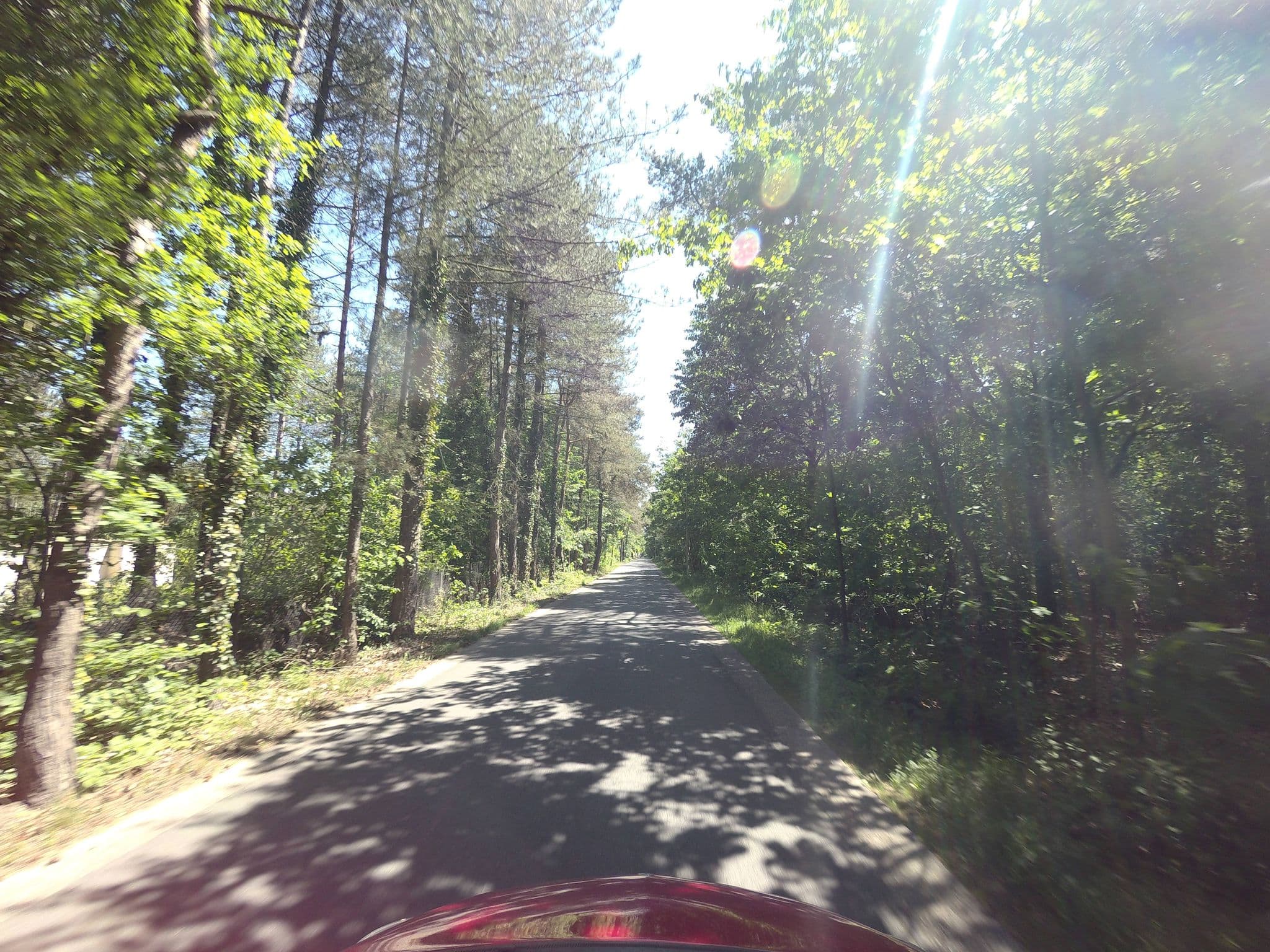 Street view near Cottage 175, Lommel — © filipc (CC BY-SA · Mapillary)