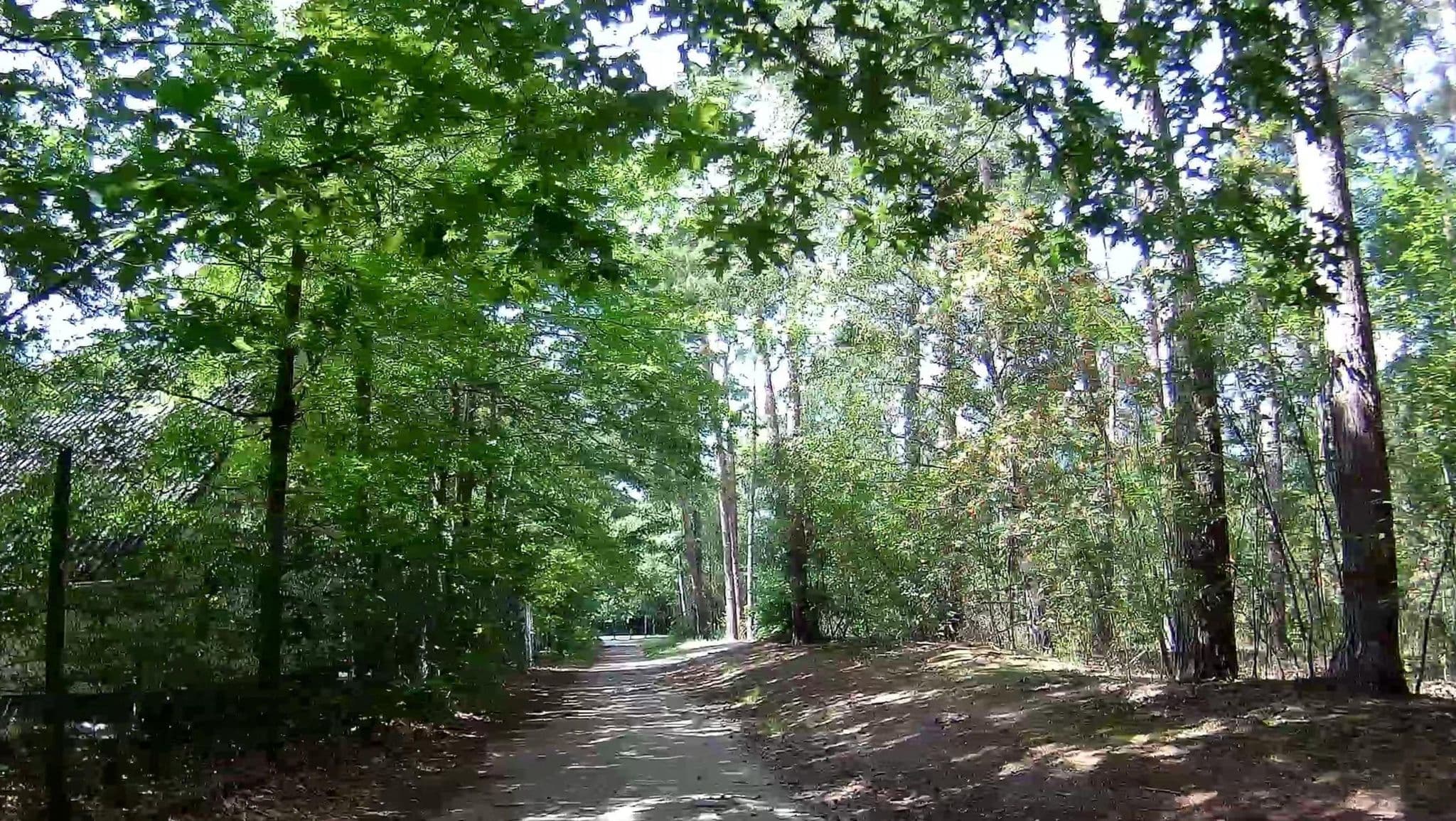 Street view near Cottage 269, Dessel — © micmin1972 (CC BY-SA · Mapillary)