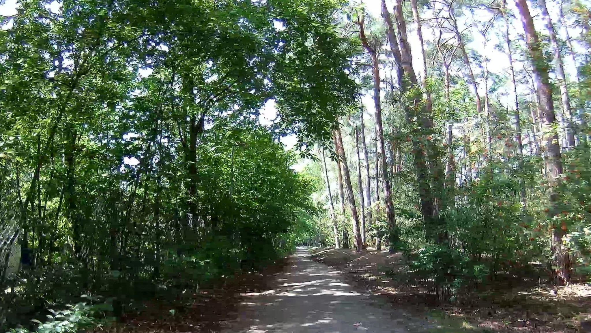 Street view near Cottage 259, Dessel — © micmin1972 (CC BY-SA · Mapillary)