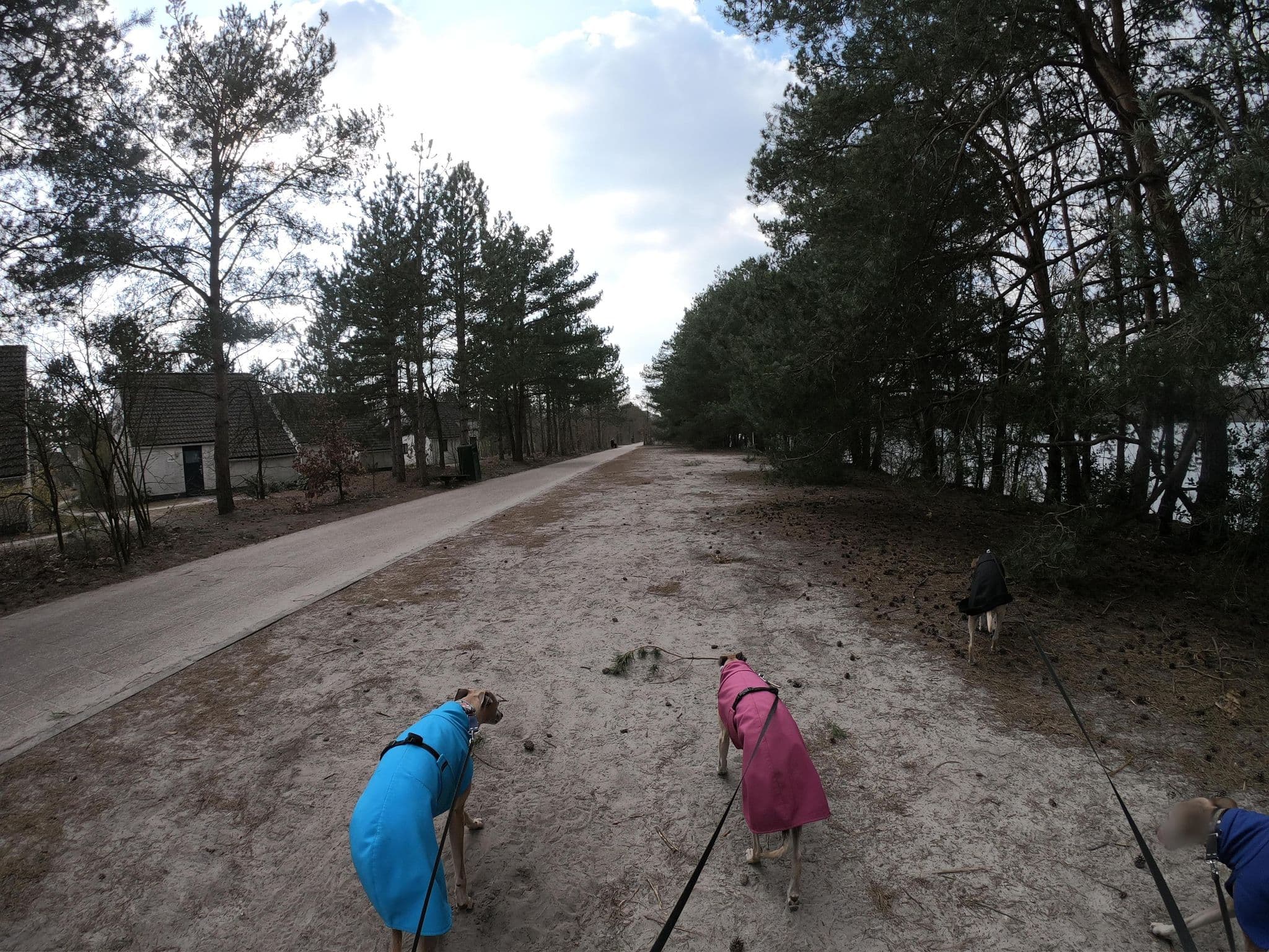 Street view near Cottage 731, Balen — © escada (CC BY-SA · Mapillary)