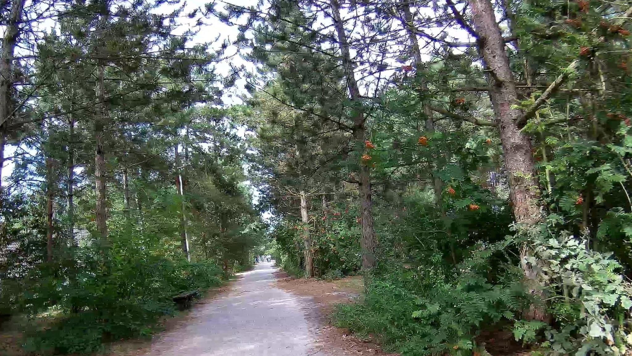 Street view near Cottage 705, Balen — © micmin1972 (CC BY-SA · Mapillary)
