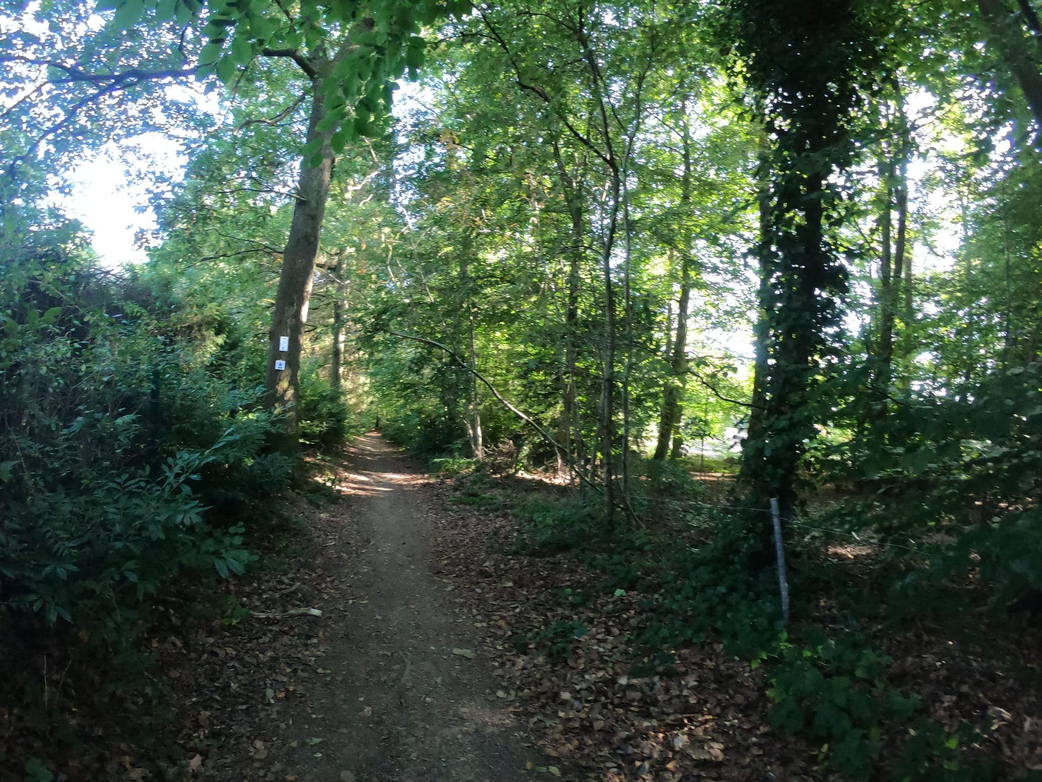 Street view near balmoral 44 spa Vakantievilla, Spa — © vinisa (CC BY-SA · Mapillary)