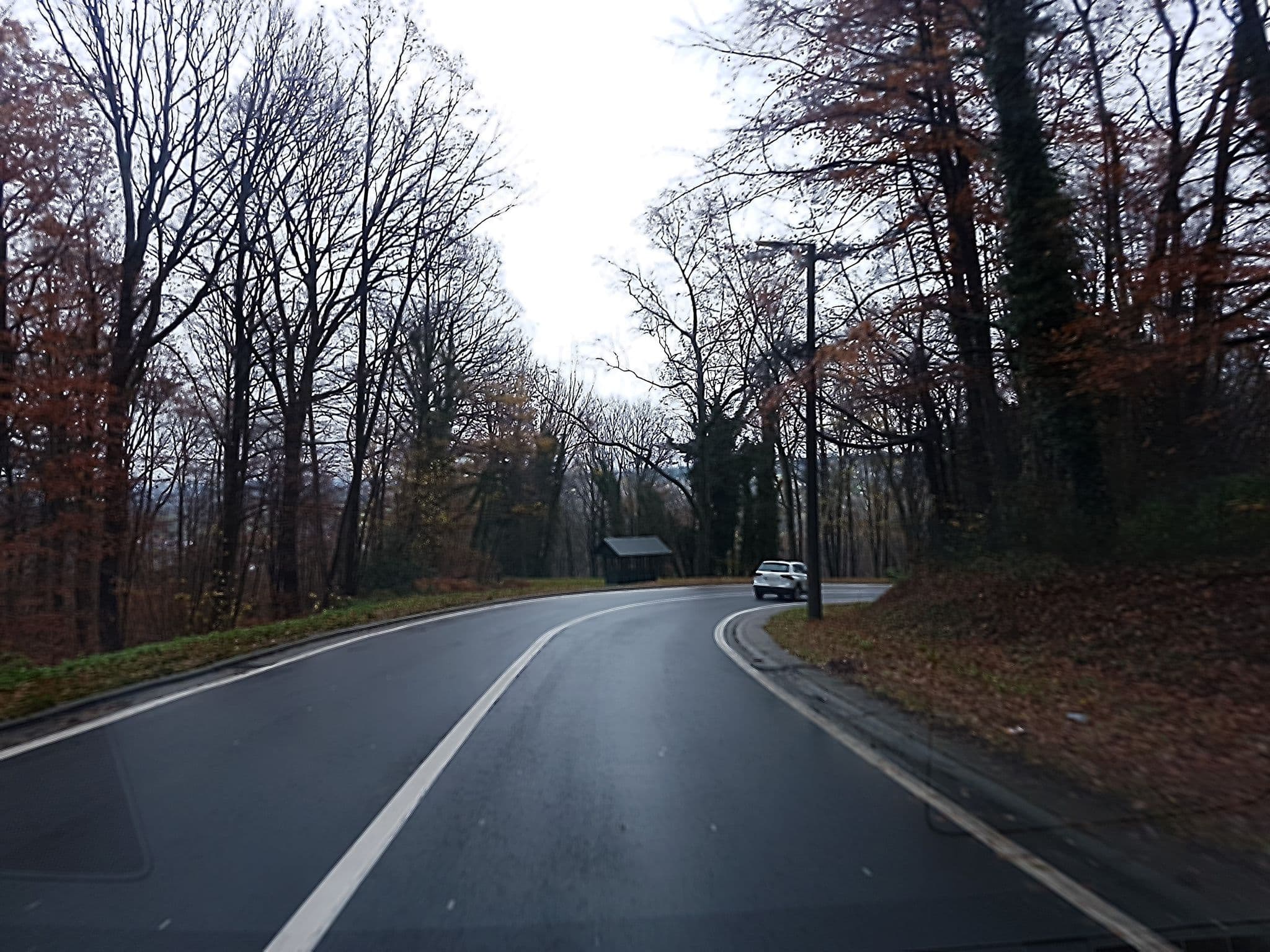 Street view near villa de campion, Spa — © reine5 (CC BY-SA · Mapillary)
