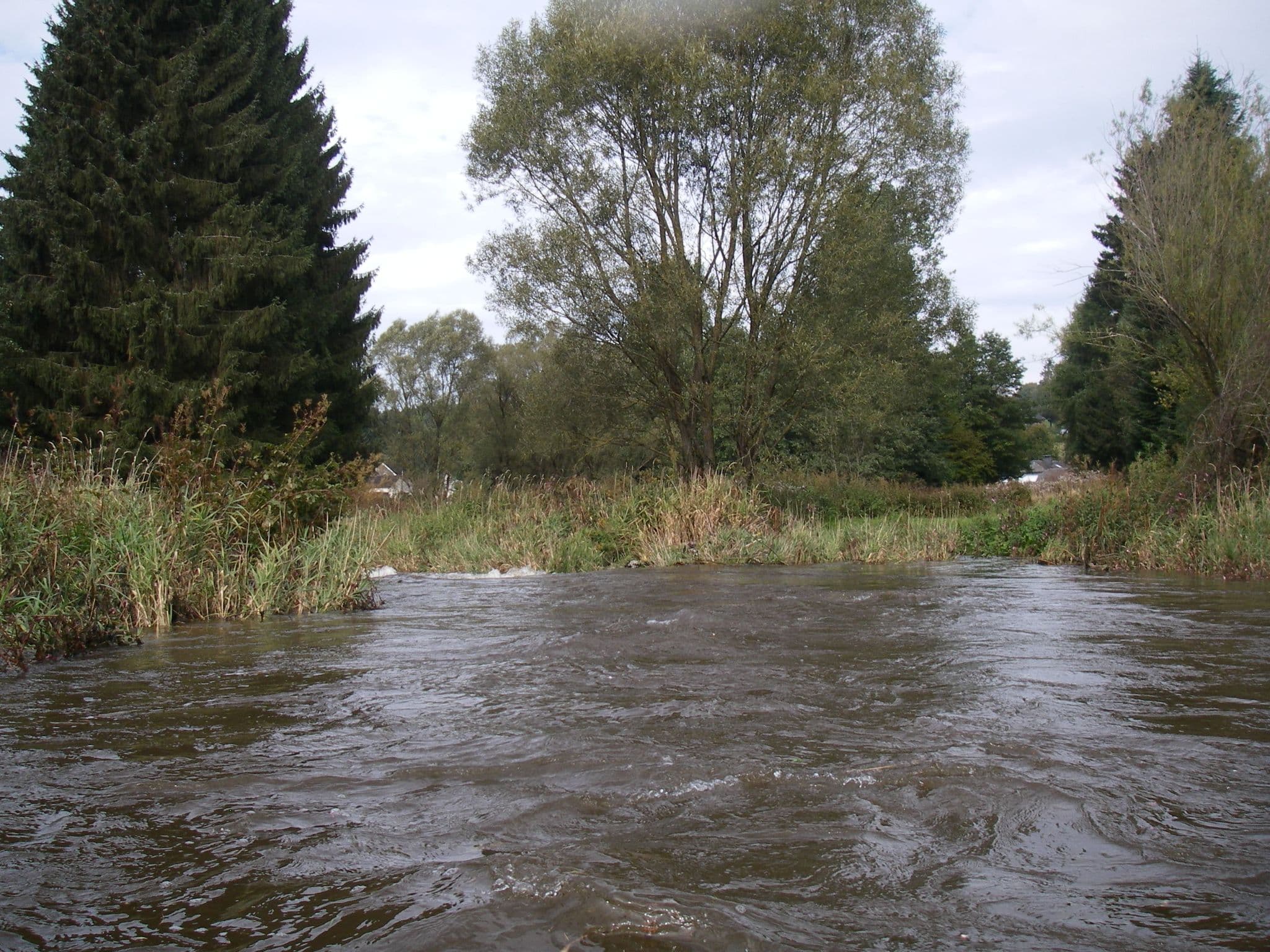 Street view near Le Vieux Moulin, Butgenbach — © mprins (CC BY-SA · Mapillary)