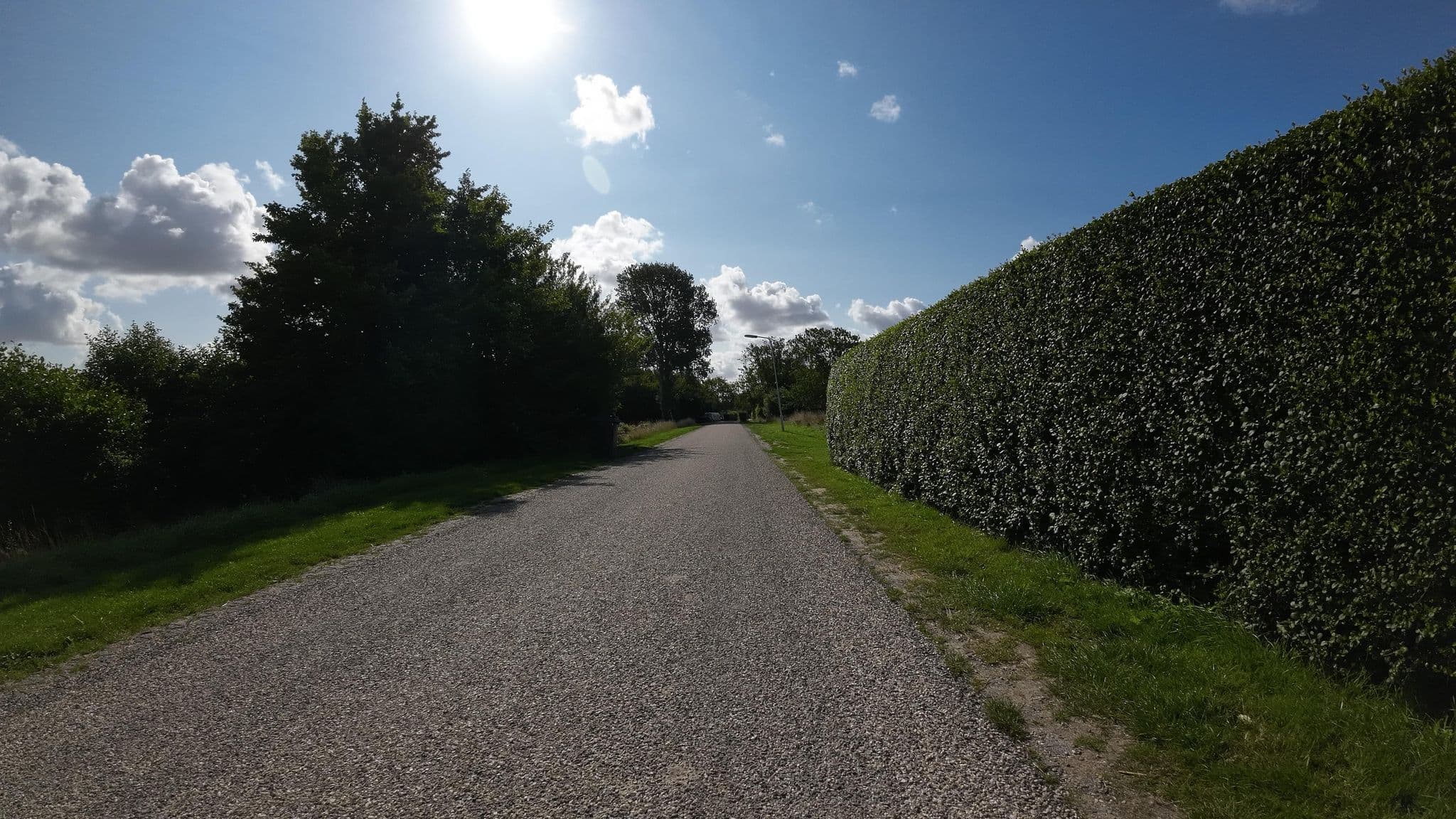 Street view near De Bruine Vis, Oostburg — © teddy73 (CC BY-SA · Mapillary)
