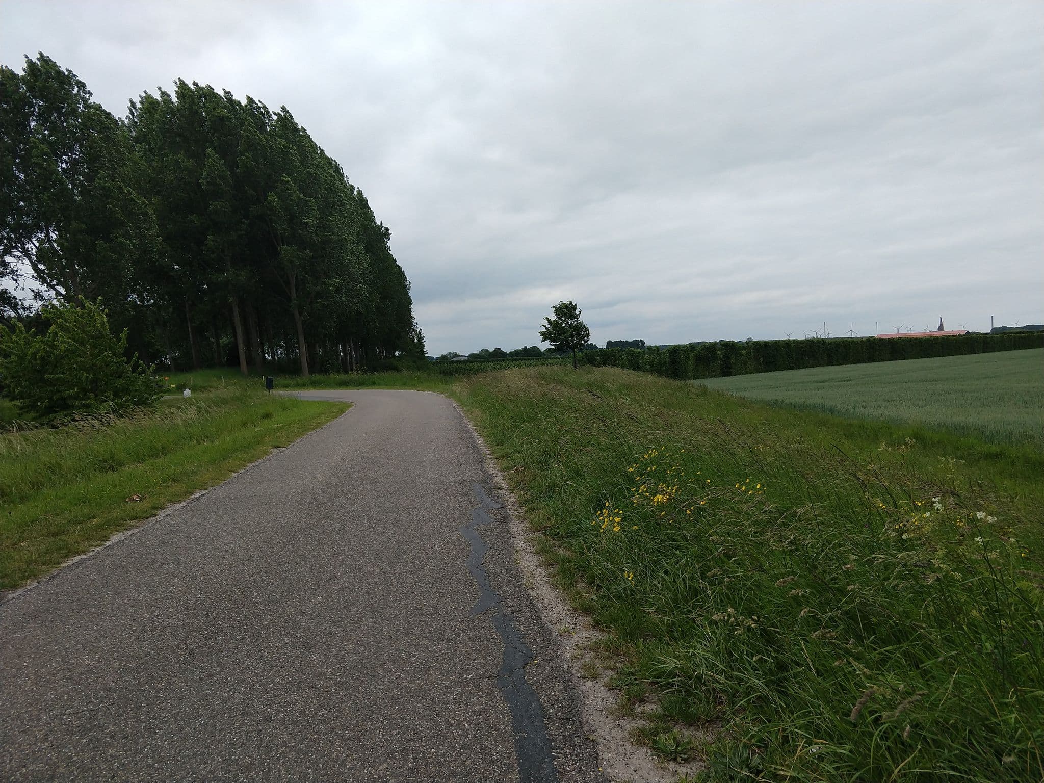 Street view near De Bloemendijken, Borssele — © adverburg (CC BY-SA · Mapillary)