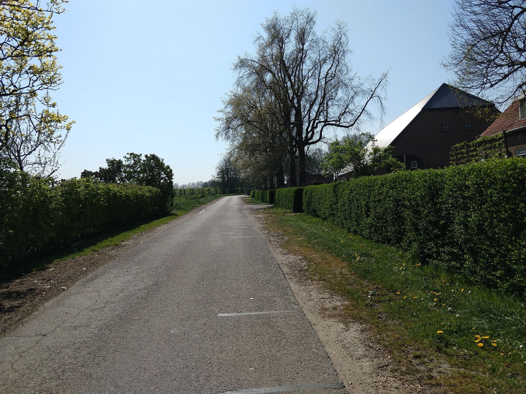 Street view near Hof Olmenstein, Kloetinge — © adverburg (CC BY-SA · Mapillary)