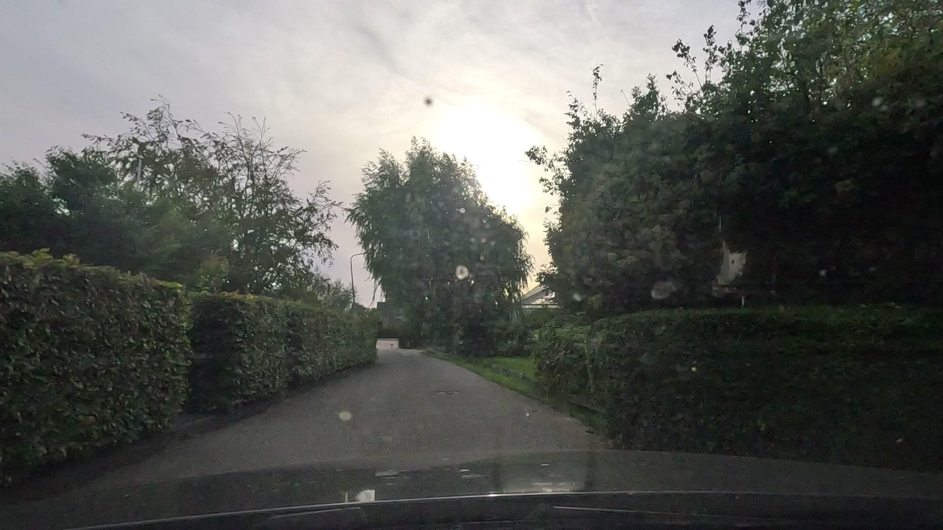 Street view near Chez Louise, Naaldwijk — © uwekoch (CC BY-SA · Mapillary)