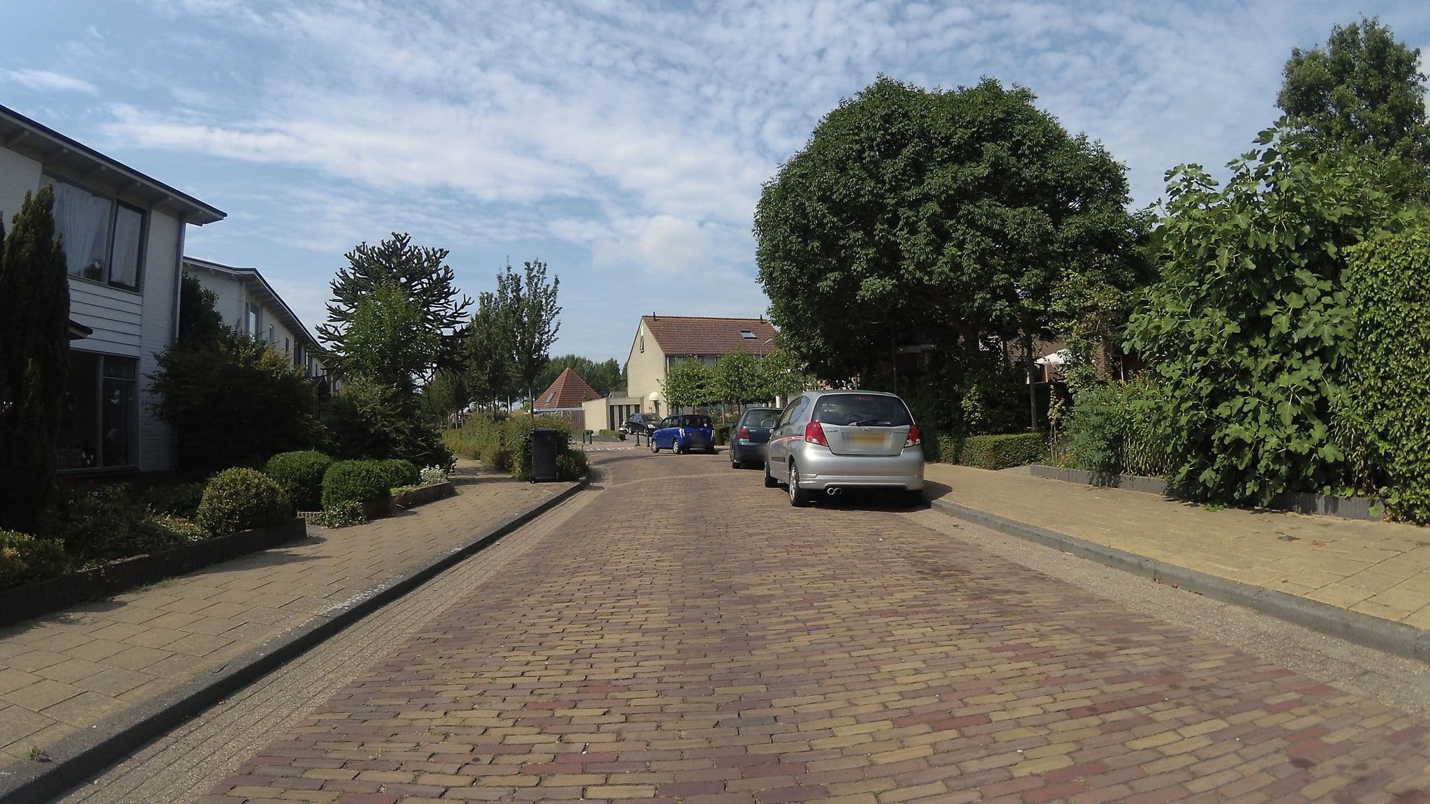 Street view near Luctor Et Emergo, Wolphaartsdijk — © teddy73 (CC BY-SA · Mapillary)