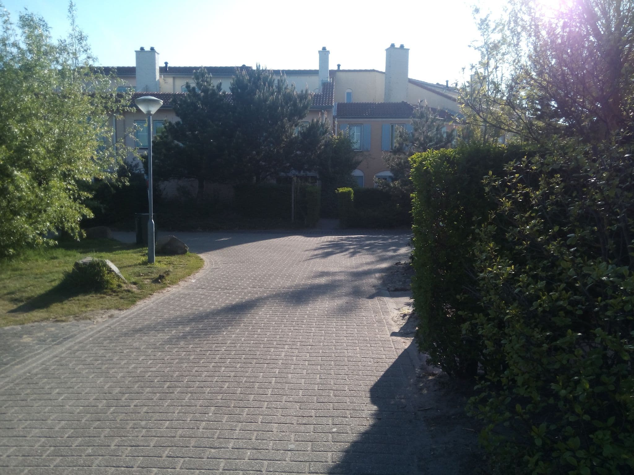 Street view near cottage 557, Scharendijke — © titus (CC BY-SA · Mapillary)