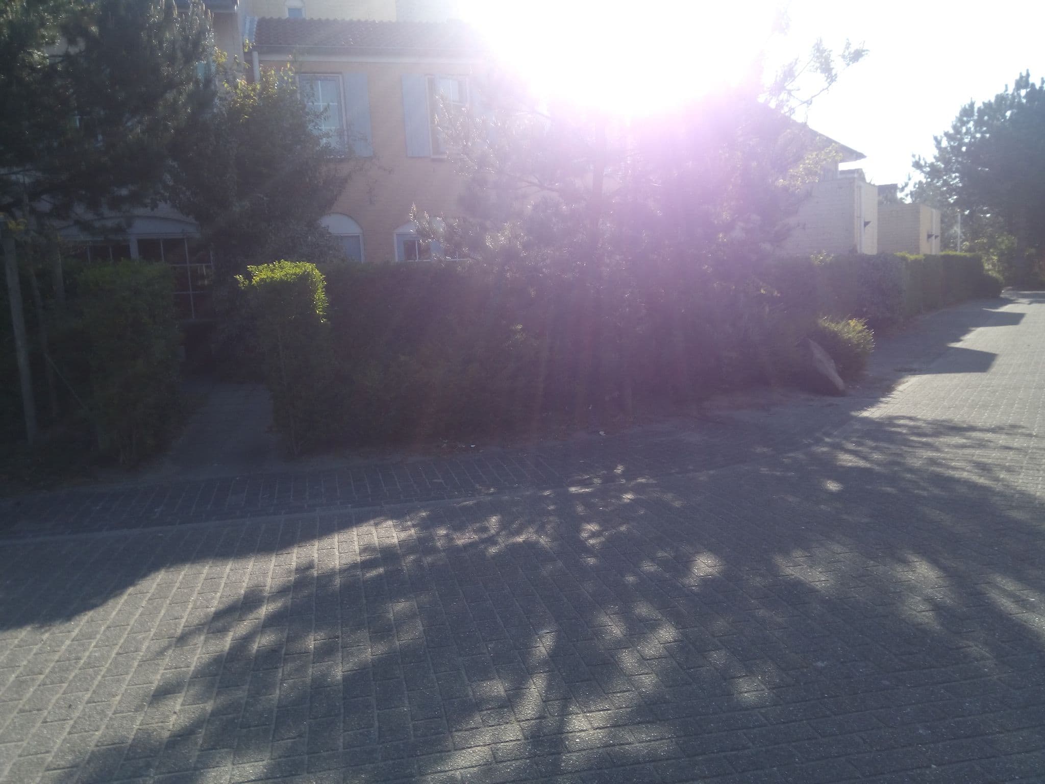 Street view near Cottage 571, Scharendijke — © titus (CC BY-SA · Mapillary)