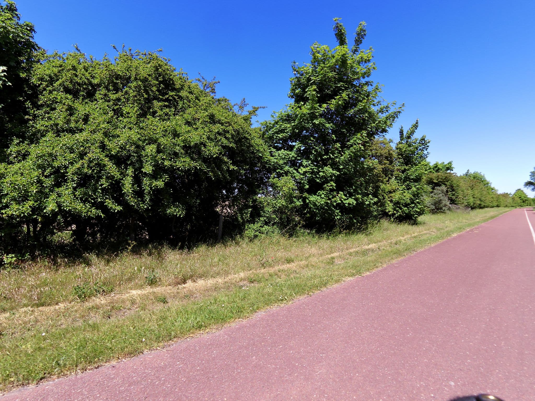Street view near kamer 381 't wapen van Marion, Oostvoorne — © sander_h (CC BY-SA · Mapillary)
