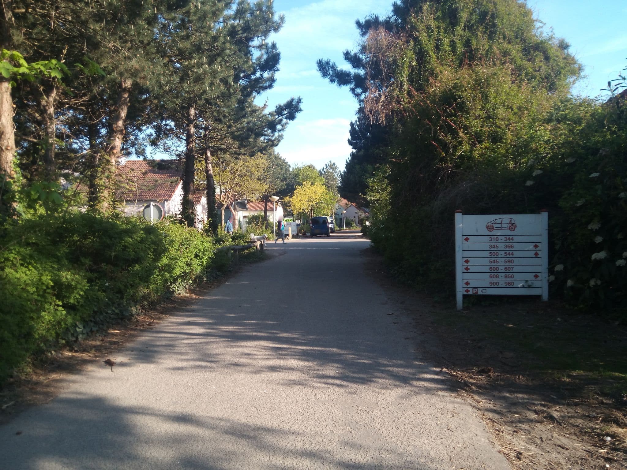 Street view near Cottage 349, Scharendijke — © titus (CC BY-SA · Mapillary)