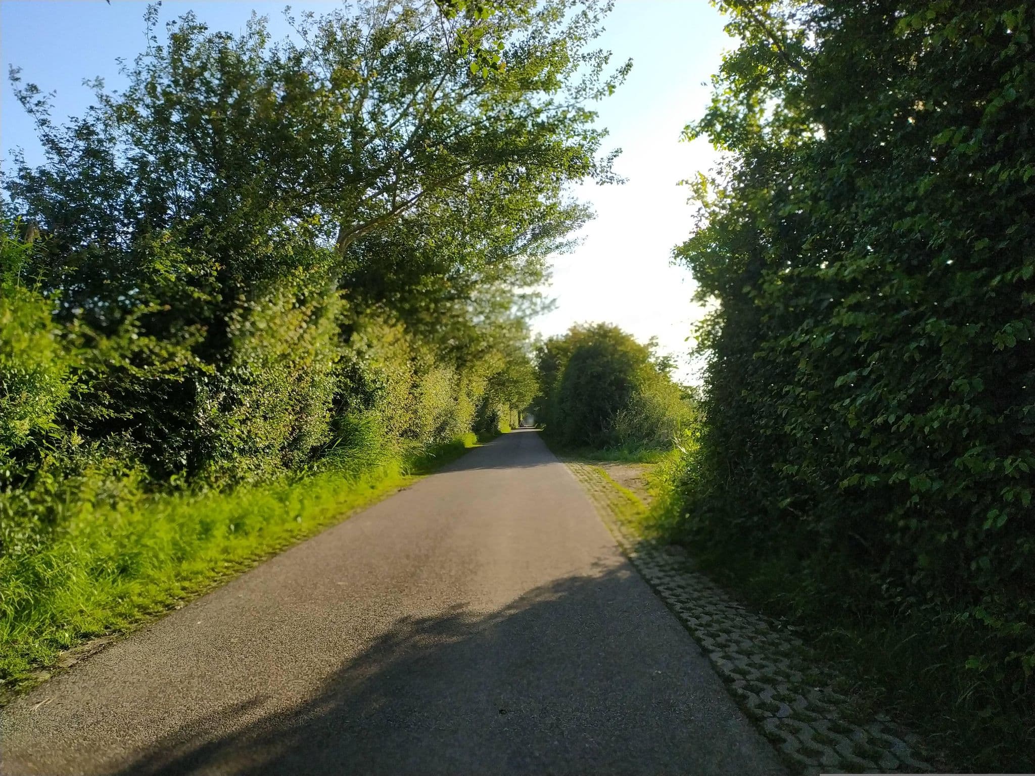 Street view near Buitenhof Domburg Zandplaat 6, Domburg — © steinm (CC BY-SA · Mapillary)