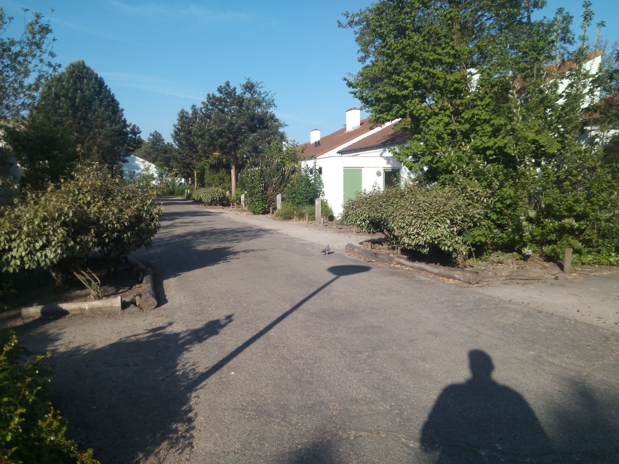 Street view near Cottage 412, Scharendijke — © titus (CC BY-SA · Mapillary)