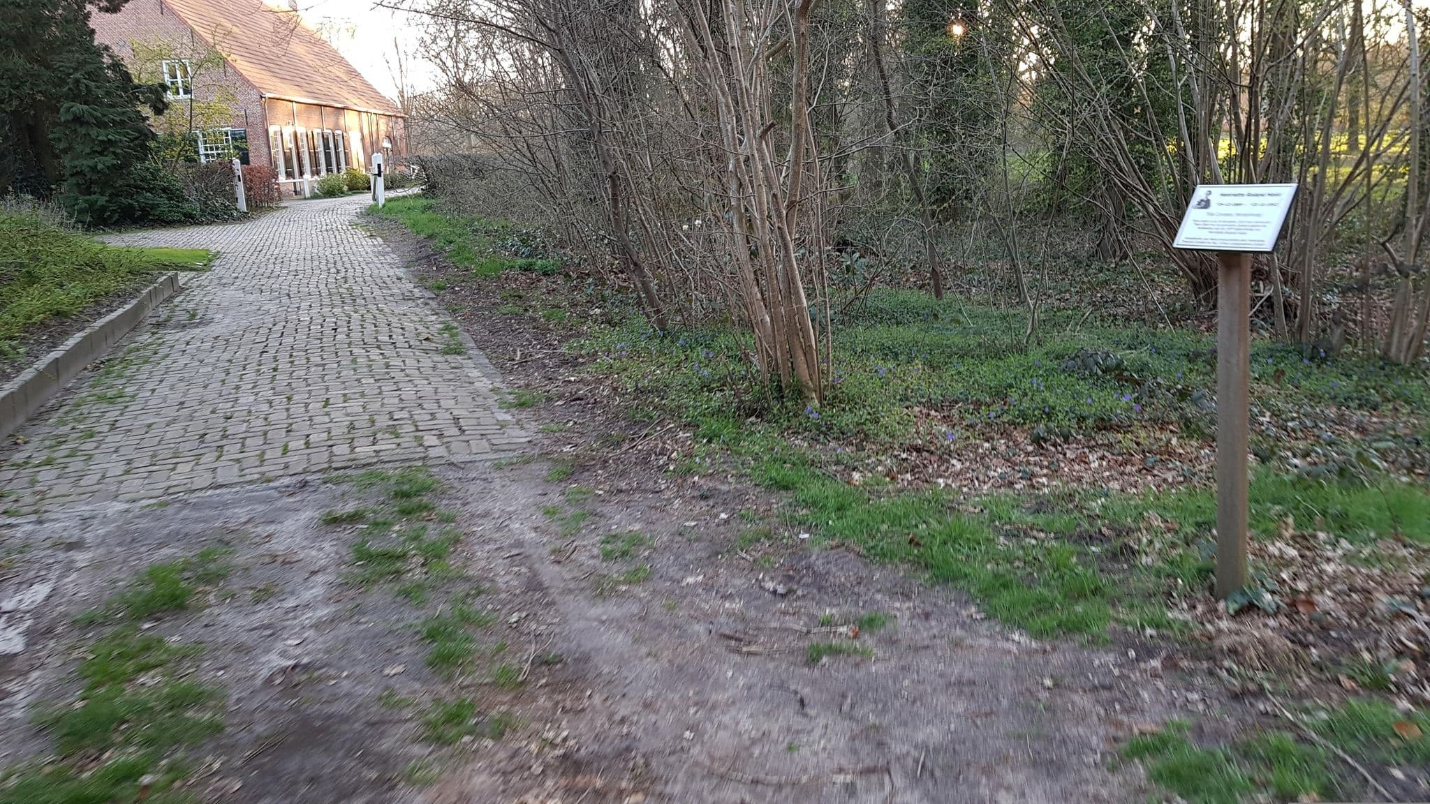 Street view near Angora Hoeve (Buitenleven), Wernhout — © multi_wandel (CC BY-SA · Mapillary)