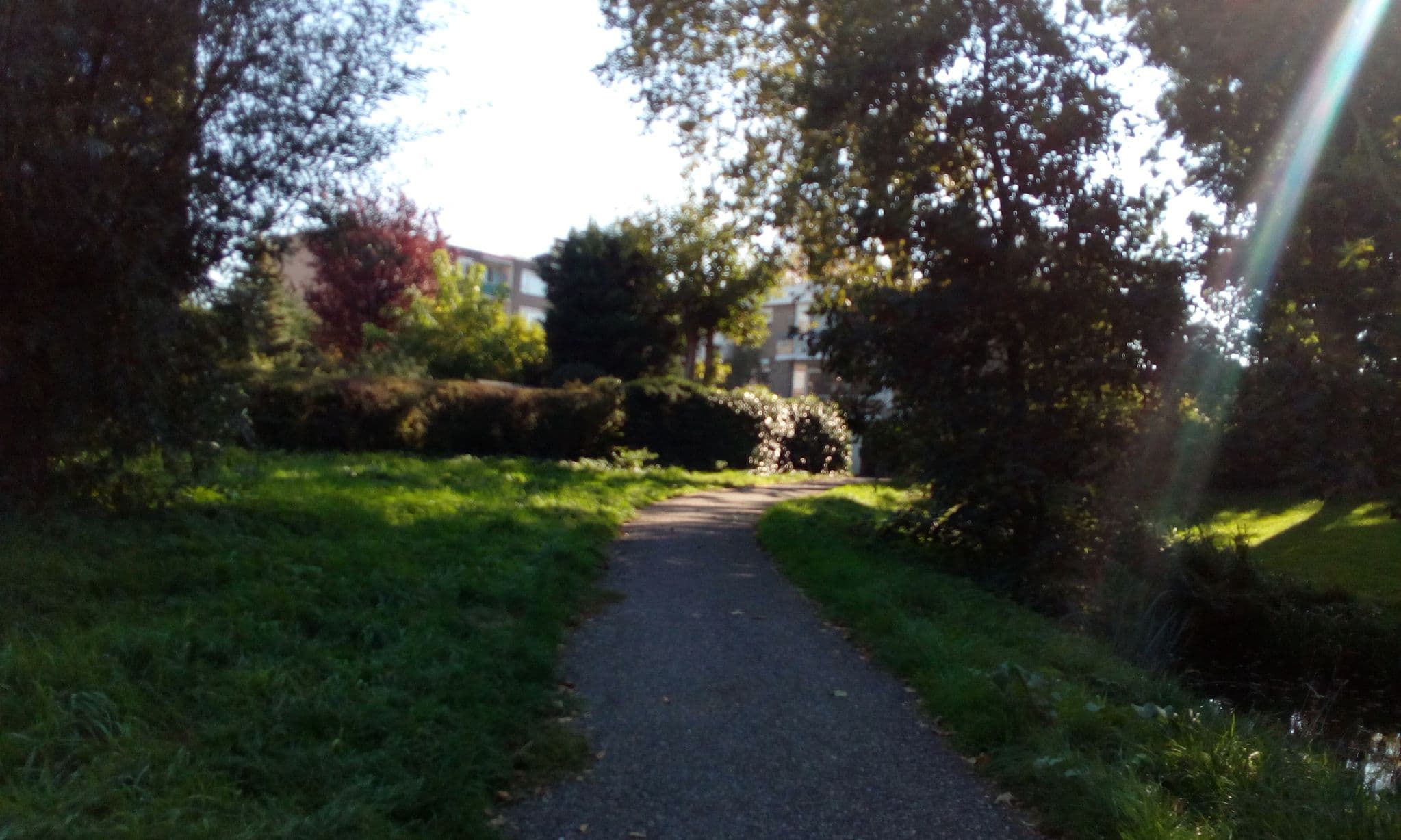 Street view near De Vreemde Vogel, Vlaardingen — © micmin1972 (CC BY-SA · Mapillary)