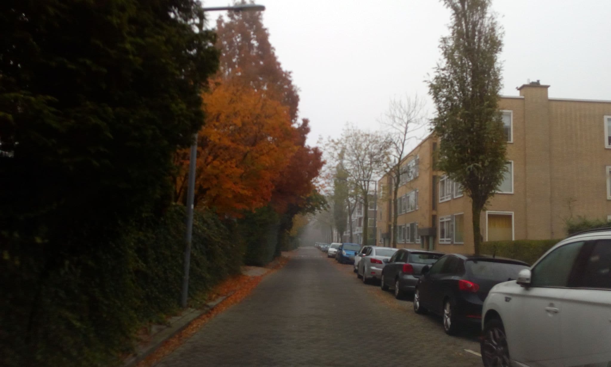 Street view near Svendsenlaan, Terbregge — © micmin1972 (CC BY-SA · Mapillary)