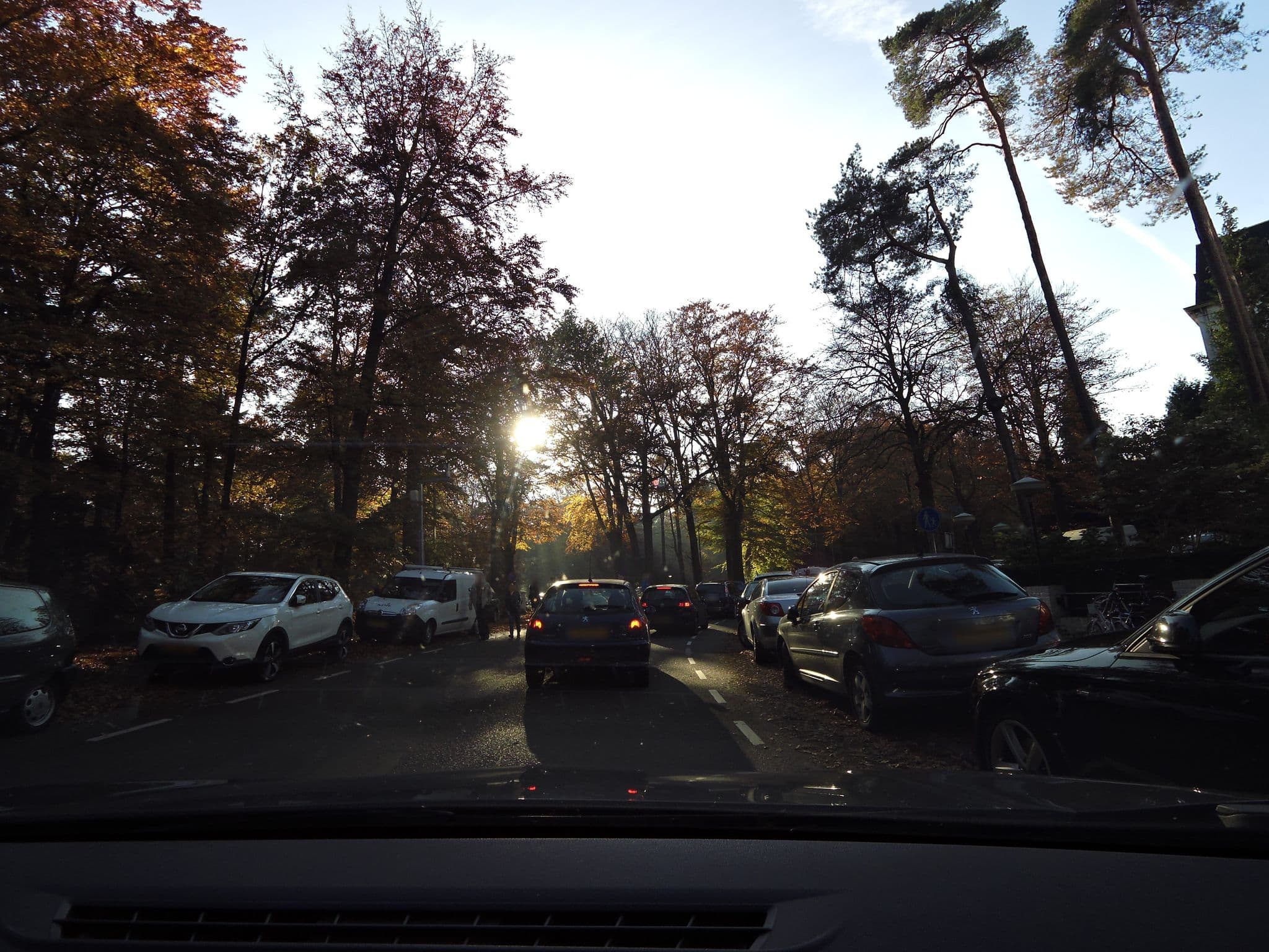 Street view near Golden Tulip Mastbosch, Zandberg — © sander_h (CC BY-SA · Mapillary)