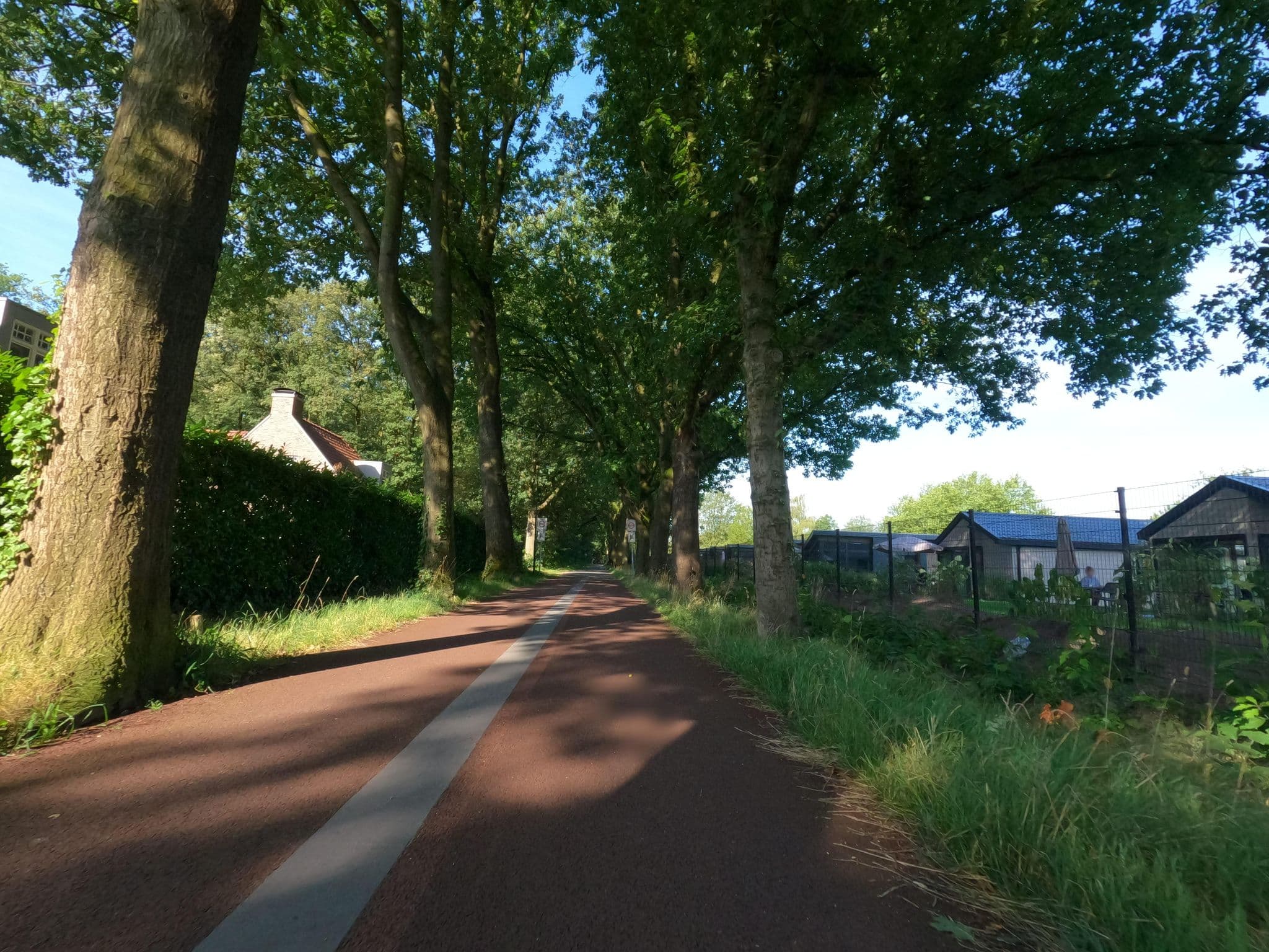 Street view near Villa 812, Waalwijk — © hektor1989 (CC BY-SA · Mapillary)