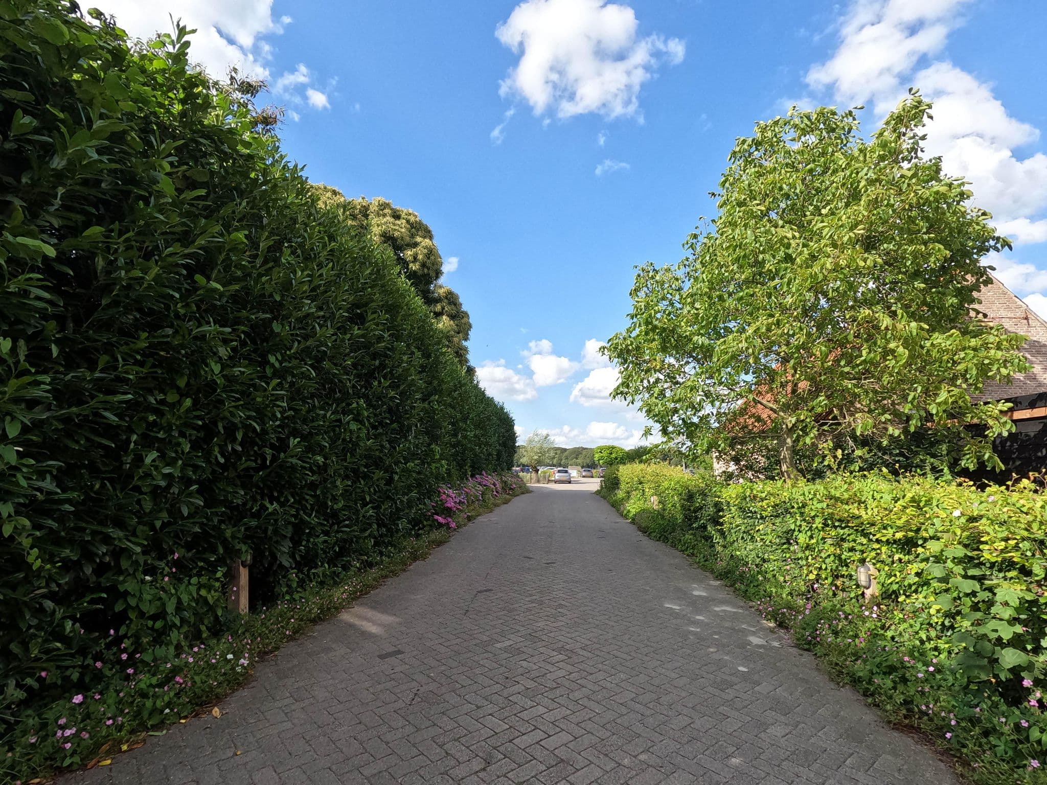 Street view near B&B De Duiventoren, Rijen — © natebus (CC BY-SA · Mapillary)