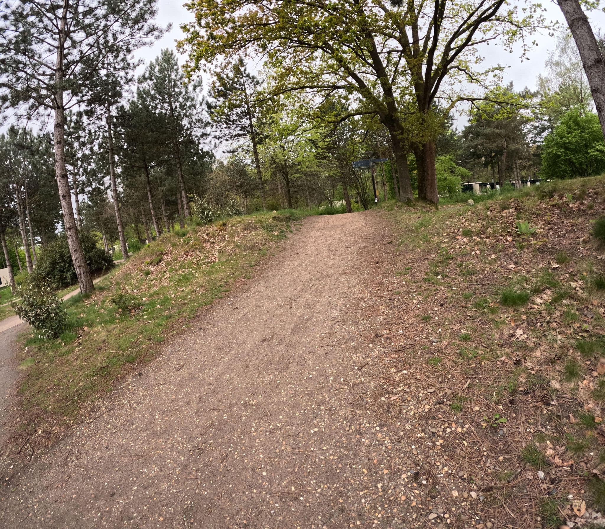 Street view near Cottage 371 Vip, Dommelen — © tjorim (CC BY-SA · Mapillary)